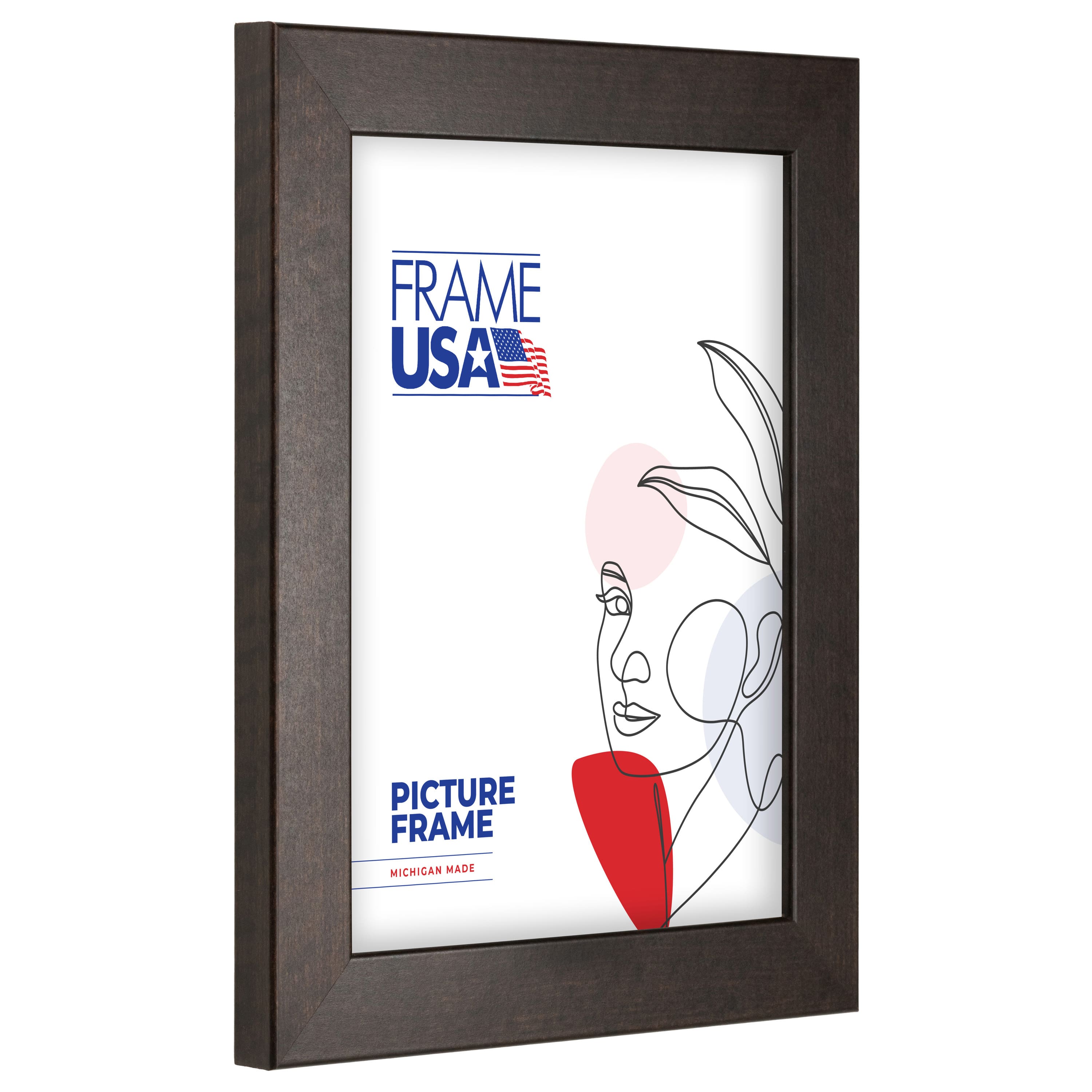 Frame USA Corporate Brazilian Walnut Single Image Picture Frame