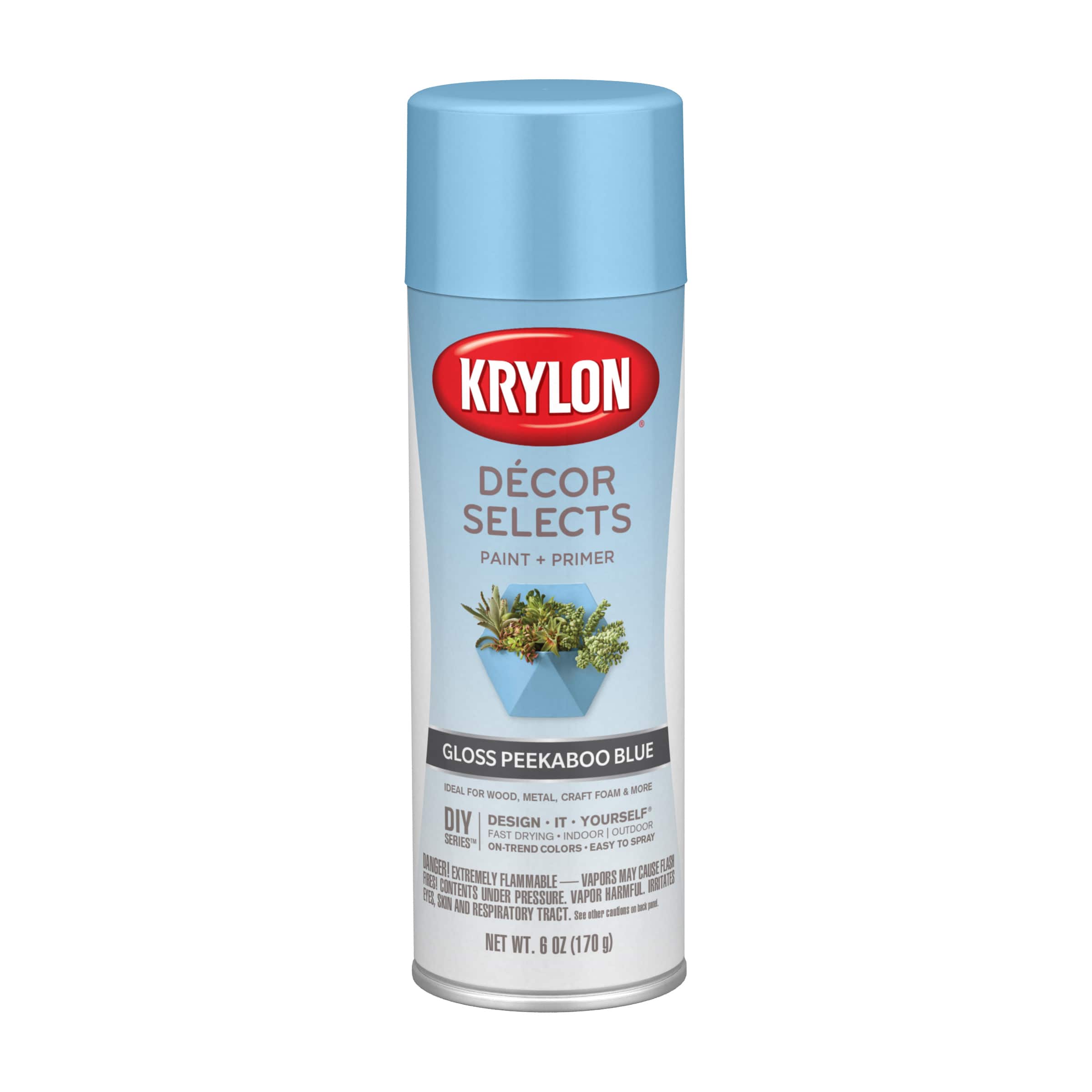Krylon® Décor Selects Gloss Paint & Primer