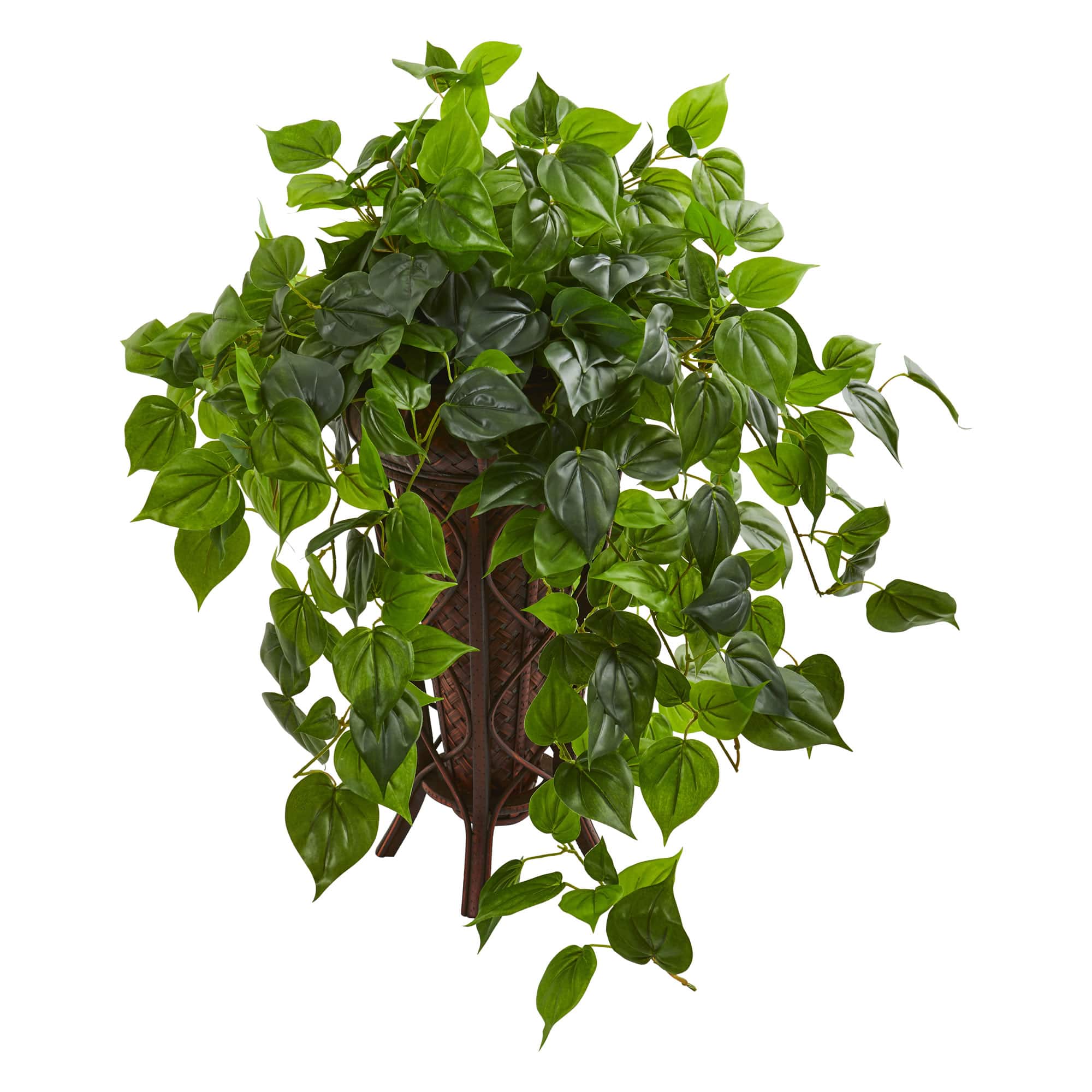 2.5ft. Philodendron Plant in Stand Planter