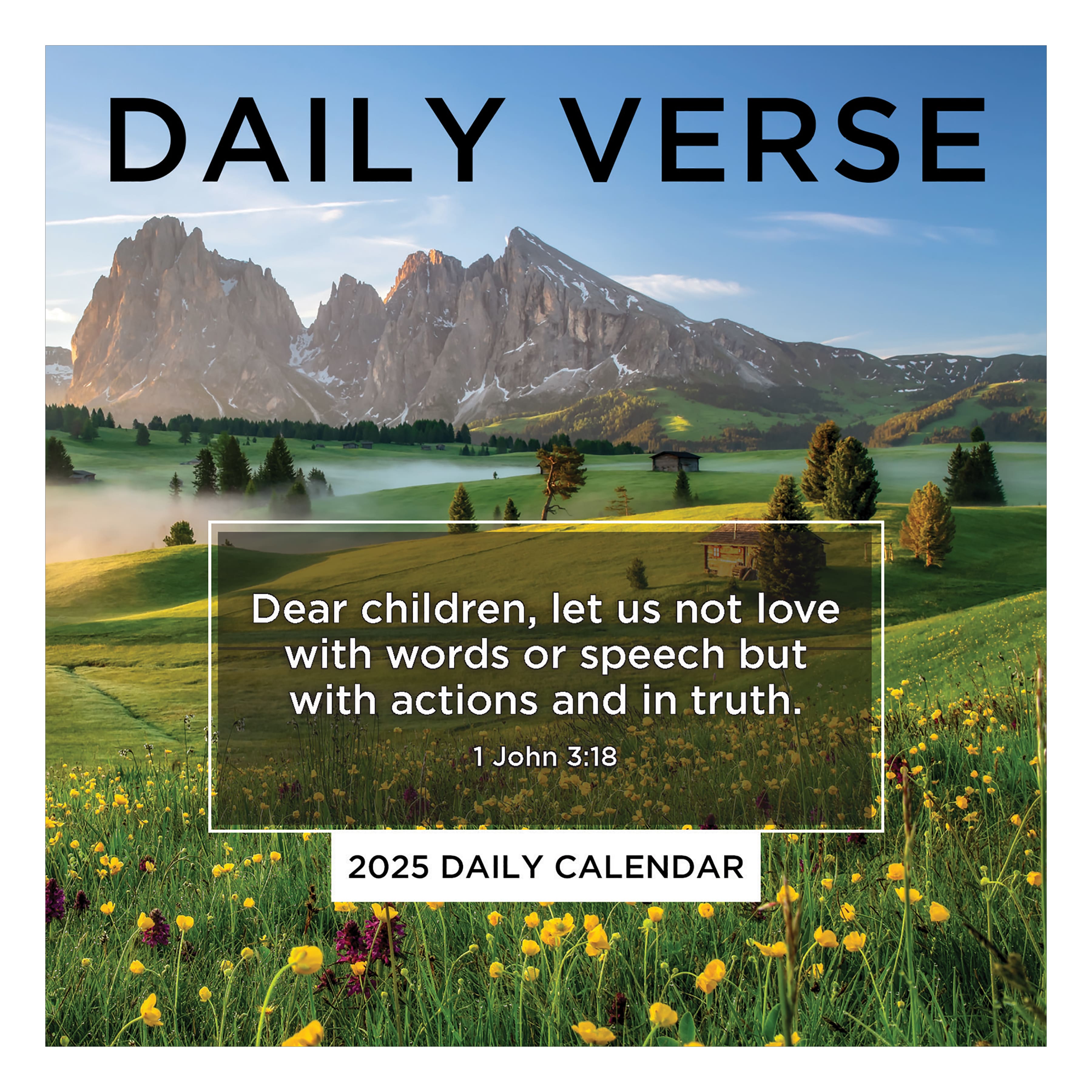 TF Publishing 2025 Daily Verse Daily Desktop Calendar