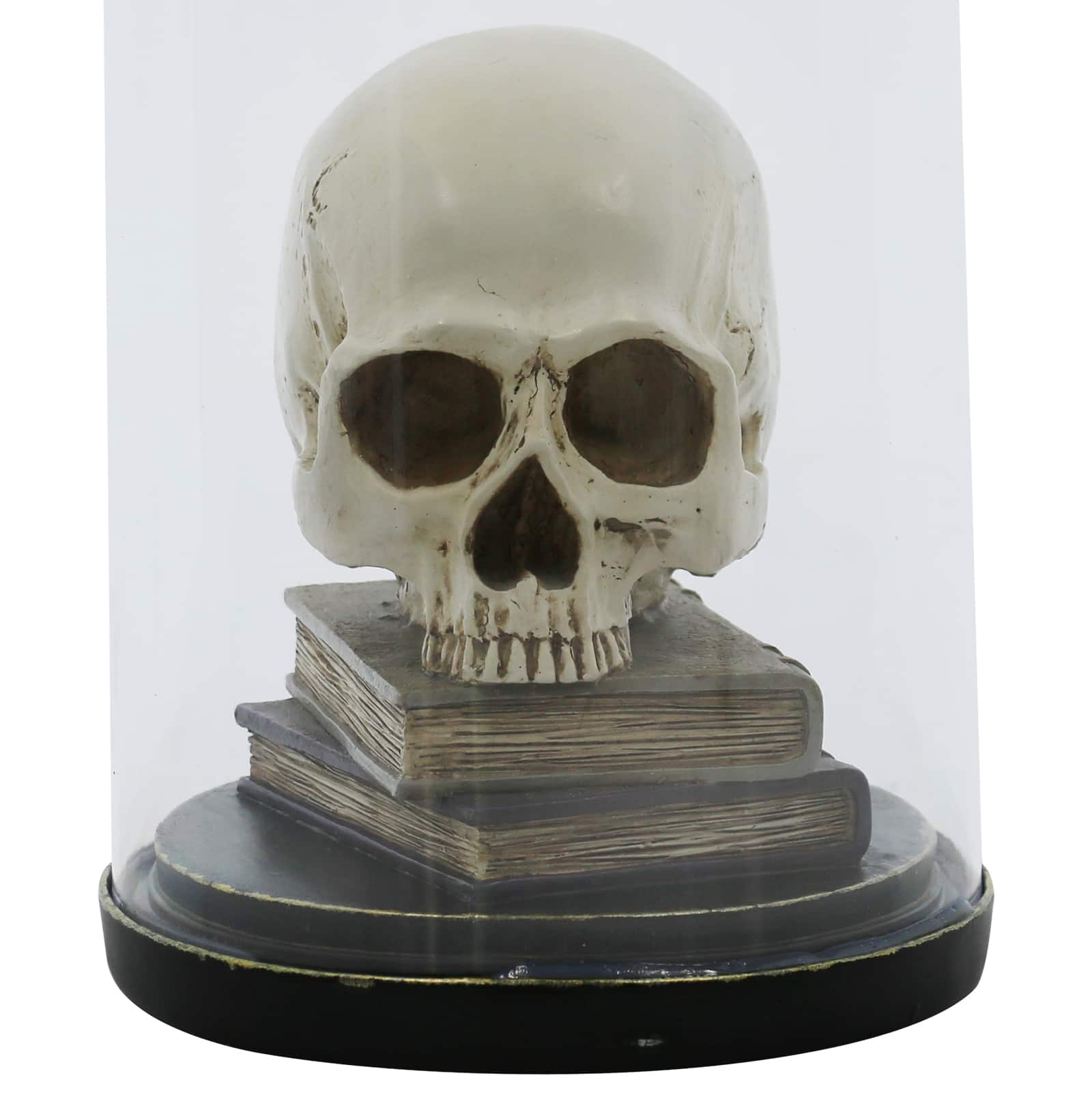 9.5&#x22; Skull on Books Cloche Tabletop D&#xE9;cor by Ashland&#xAE;
