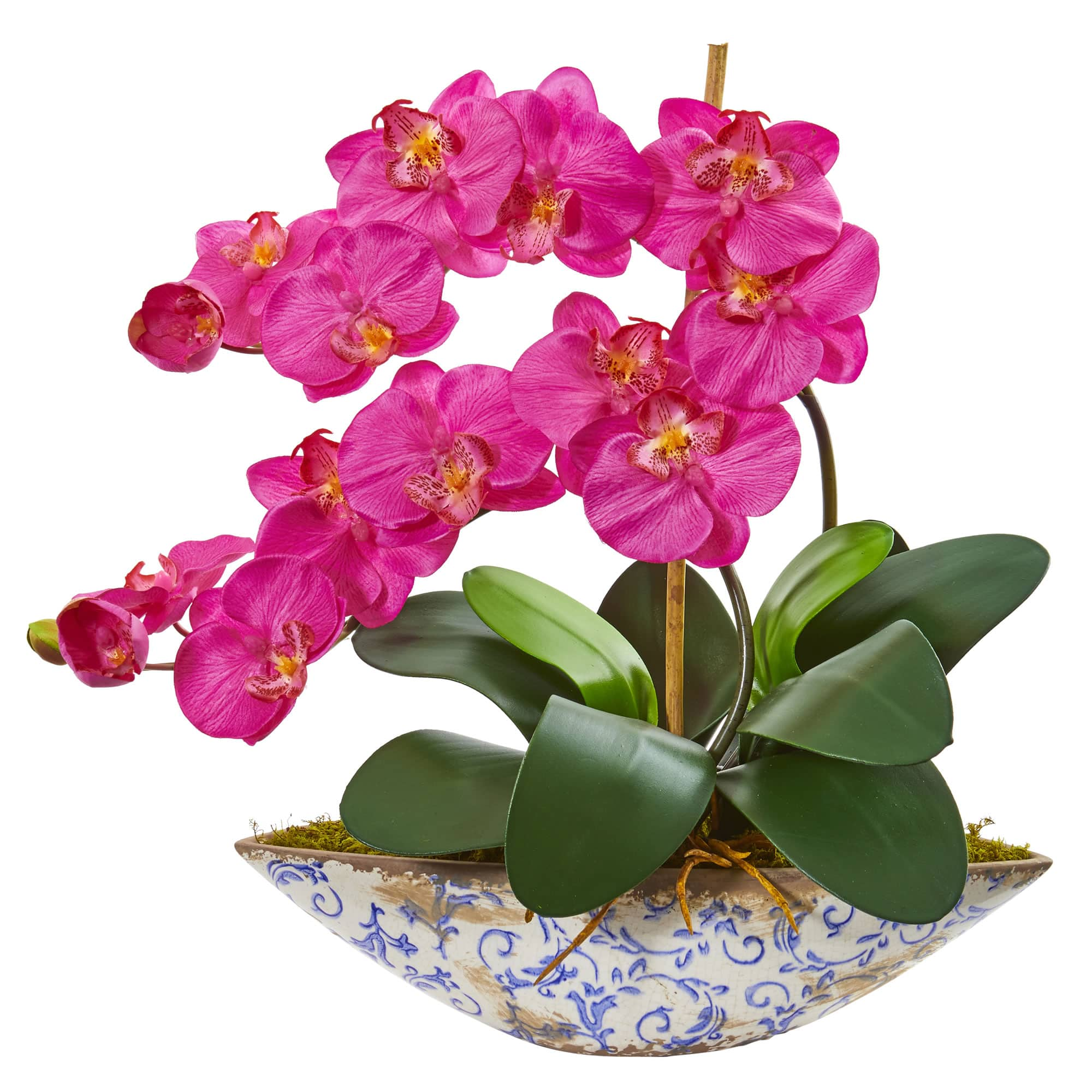 16" Moth Orchid Arrangement in Blue Floral Vase