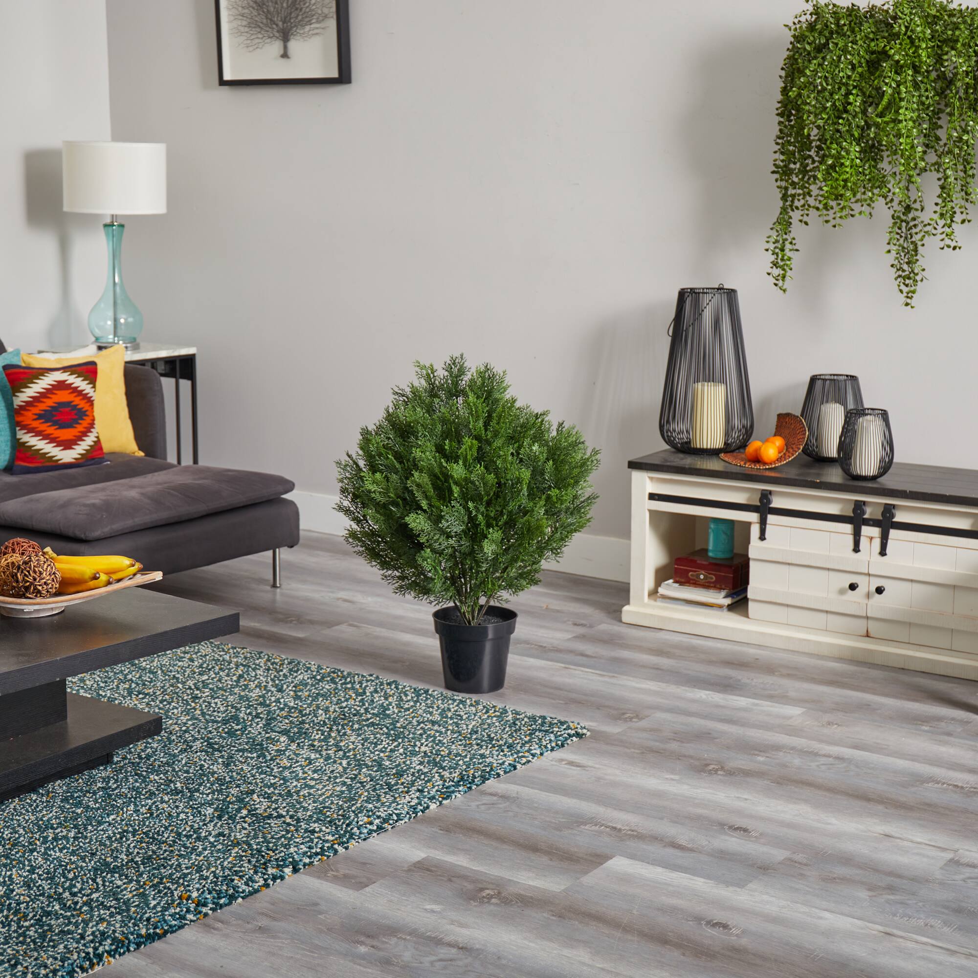 3ft. Potted Cedar Bush