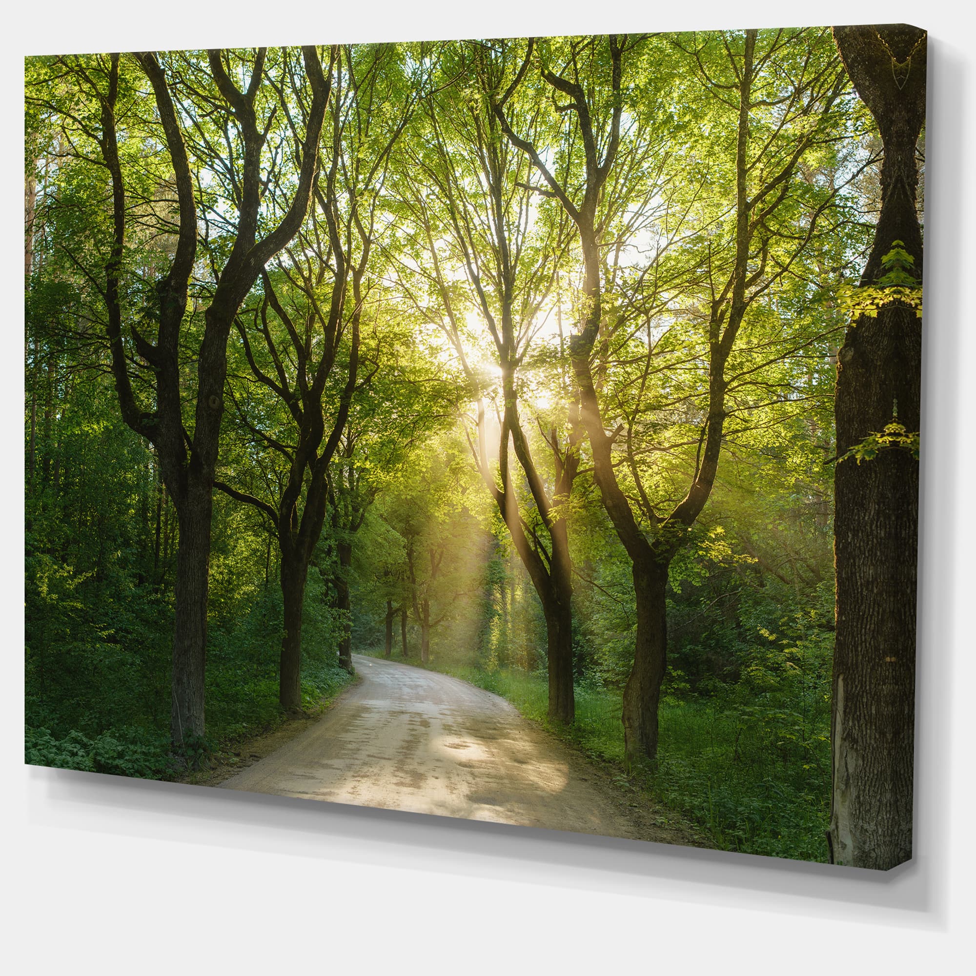 Designart - Evening in Green Forest - Landscape Canvas Art Print