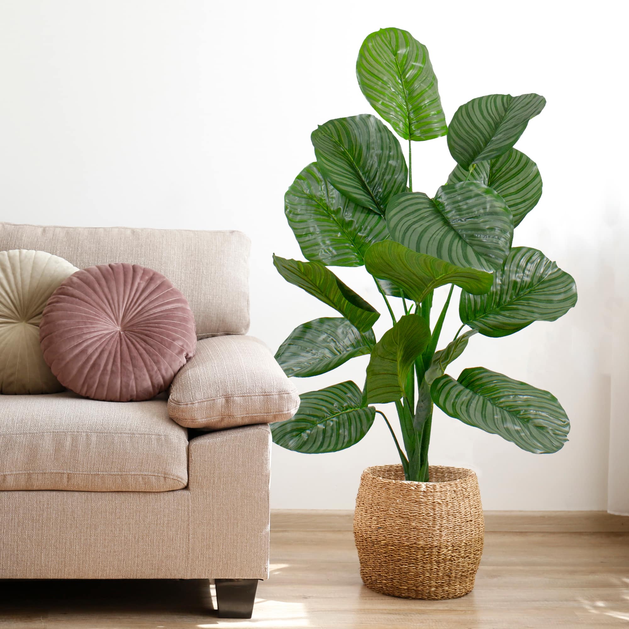 4ft. Potted Two Tone Green Calathea Floor Plant