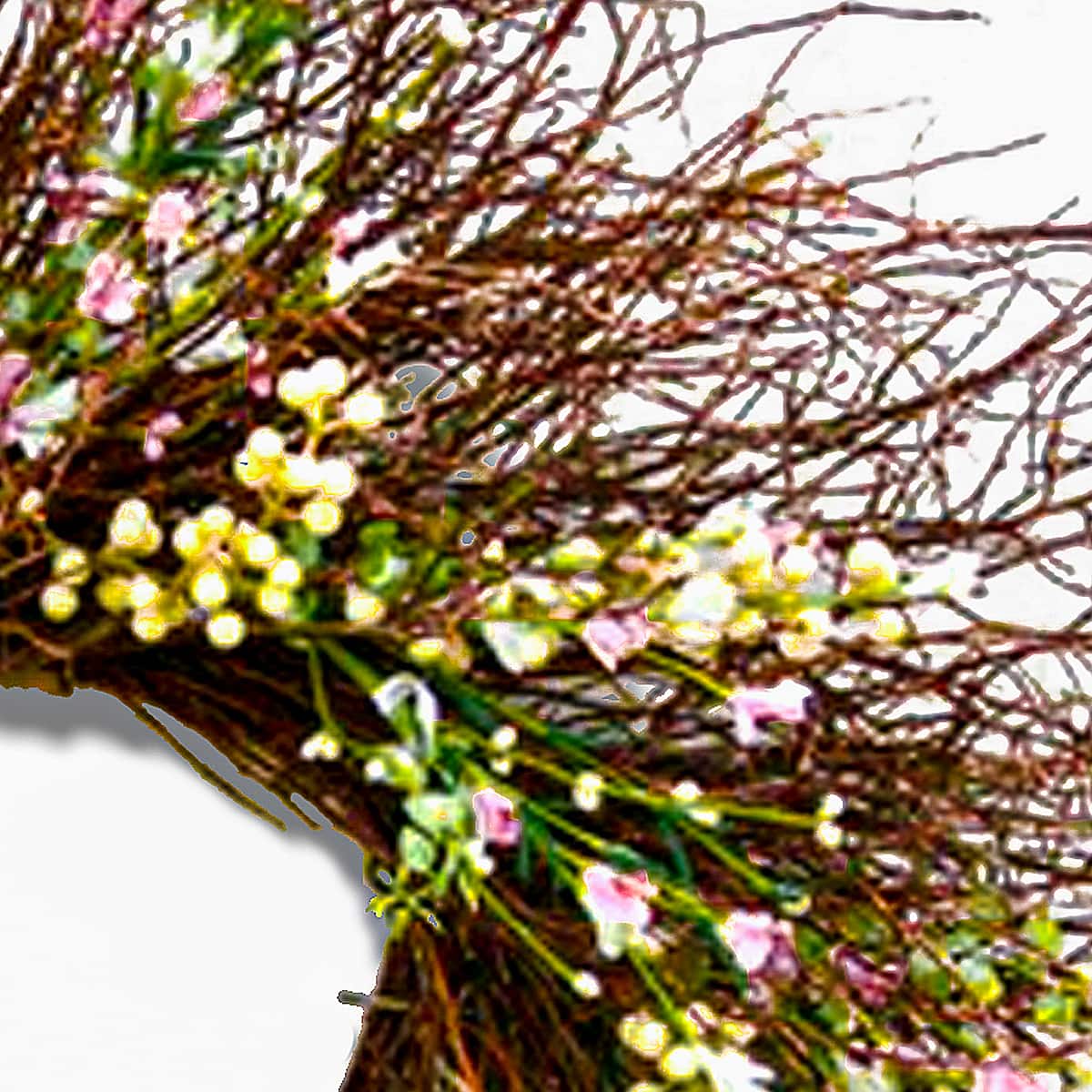 24&#x22; Spring Light Pink &#x26; Cream Forsythia Wreath