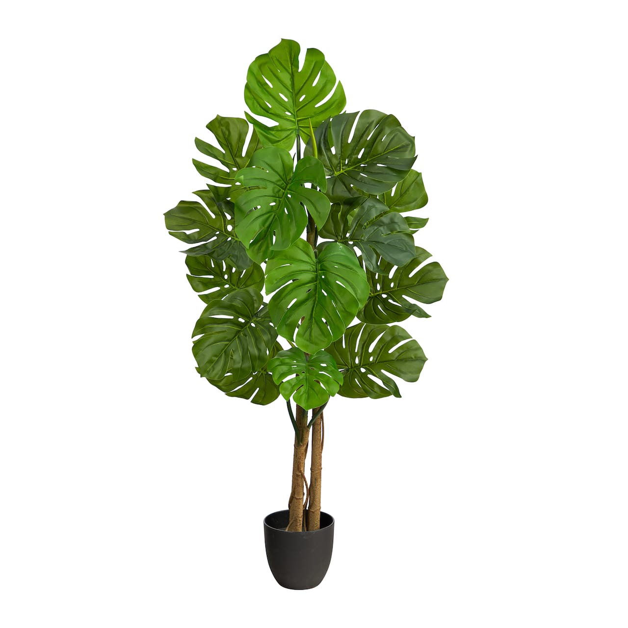 4ft. Potted Monstera Tree | Michaels