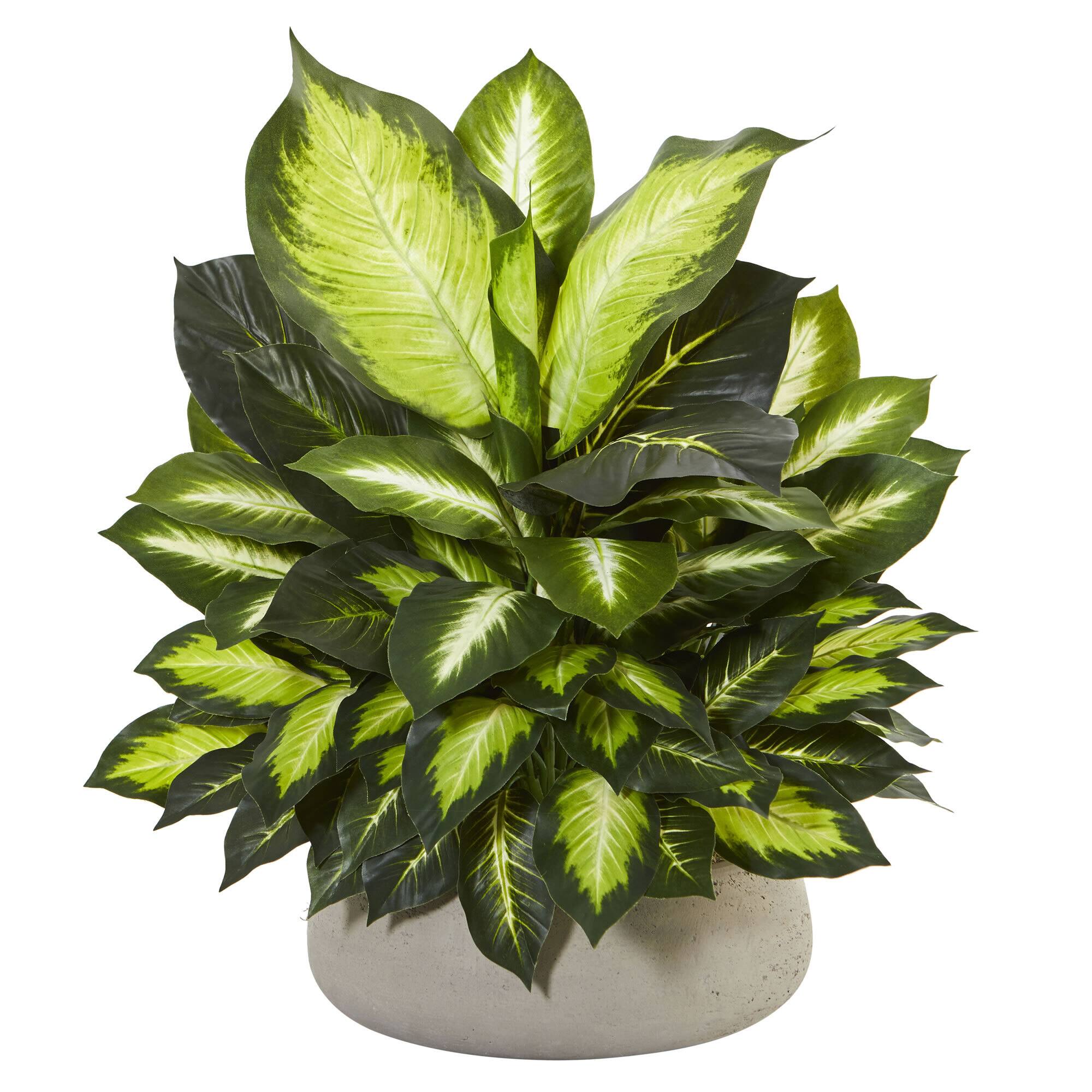 23" Giant Dieffenbachia Artificial Plant in Stone Planter Michaels