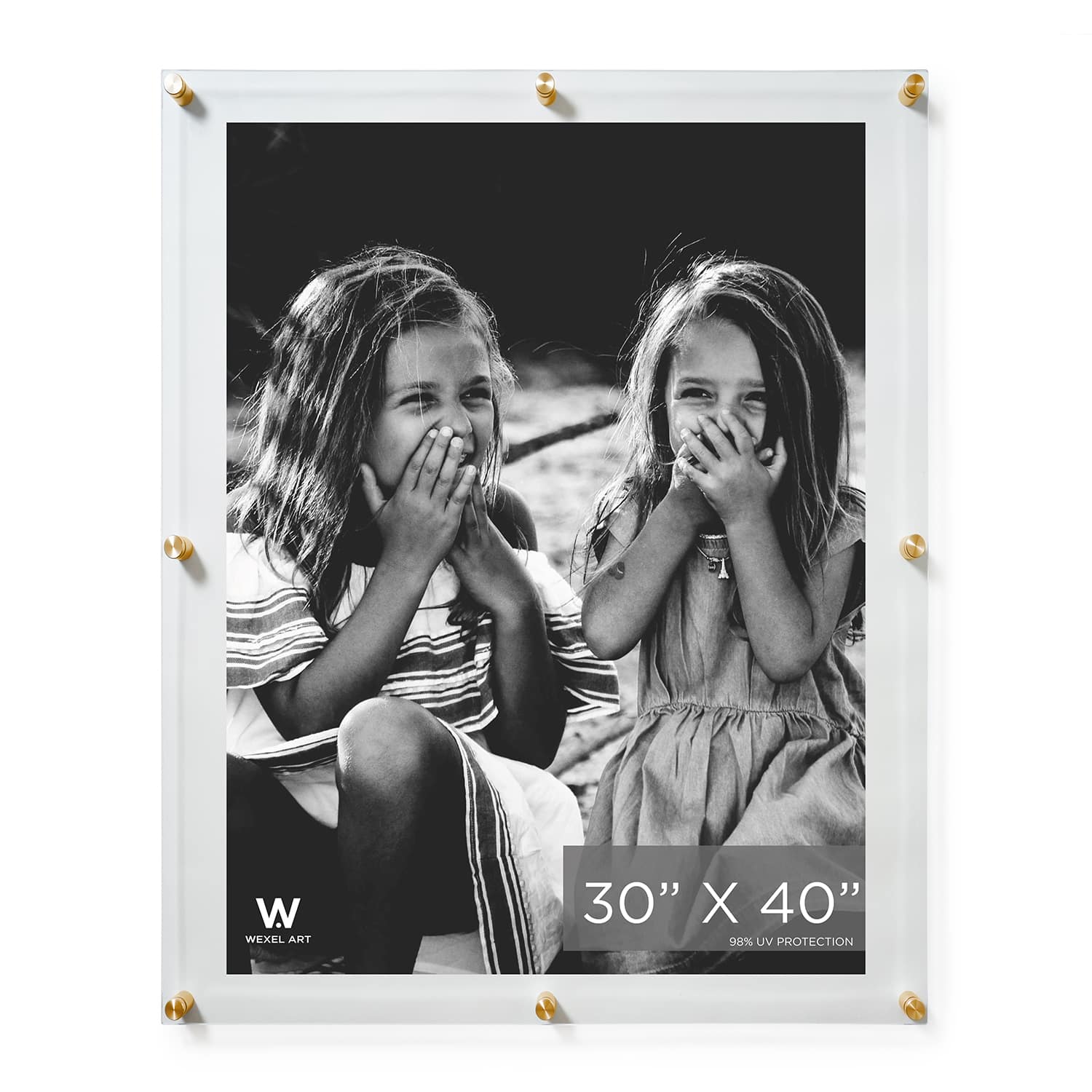 Wexel Art Double Panel Clear Acrylic Floating Wall Frame with Gold Hardware