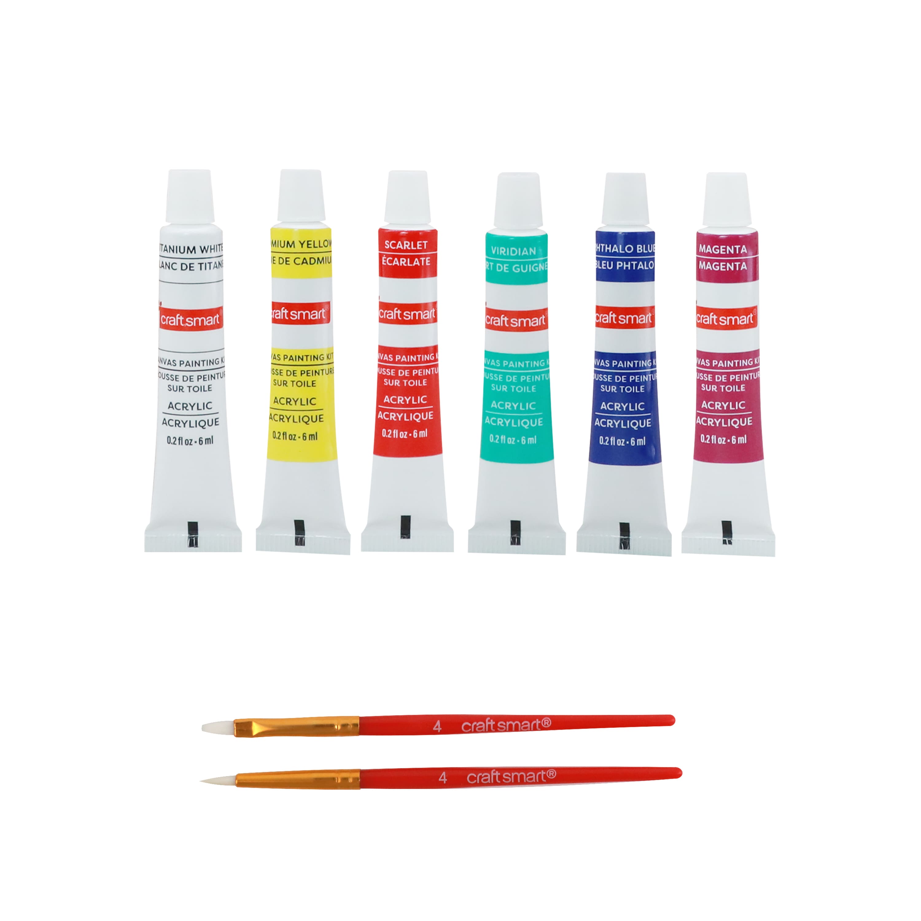 Floral Mini Canvas Painting Kit by Craft Smart®