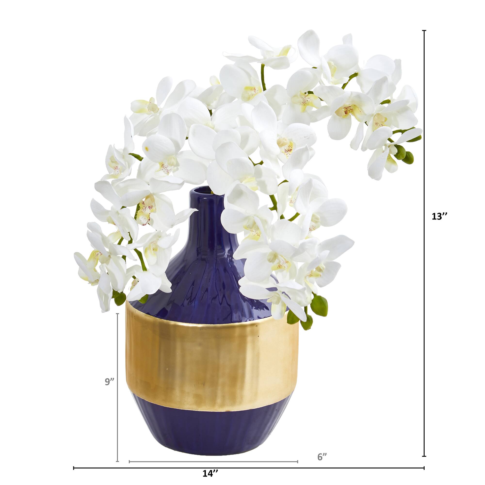 13" Moth Orchid Arrangement in Blue & Gold Vase
