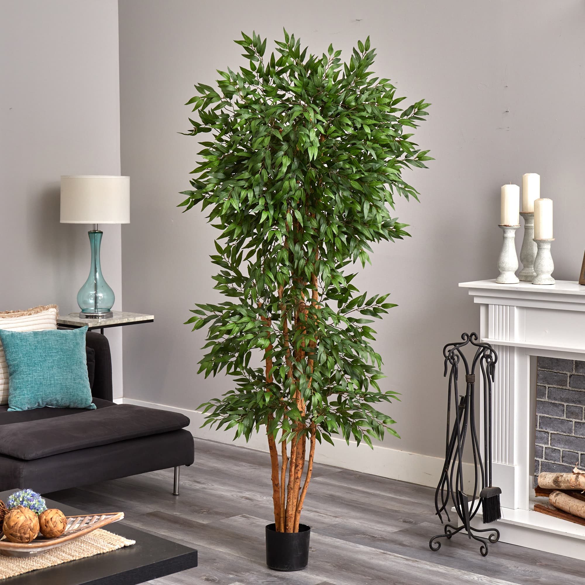 6ft. Potted Green Ash Tree