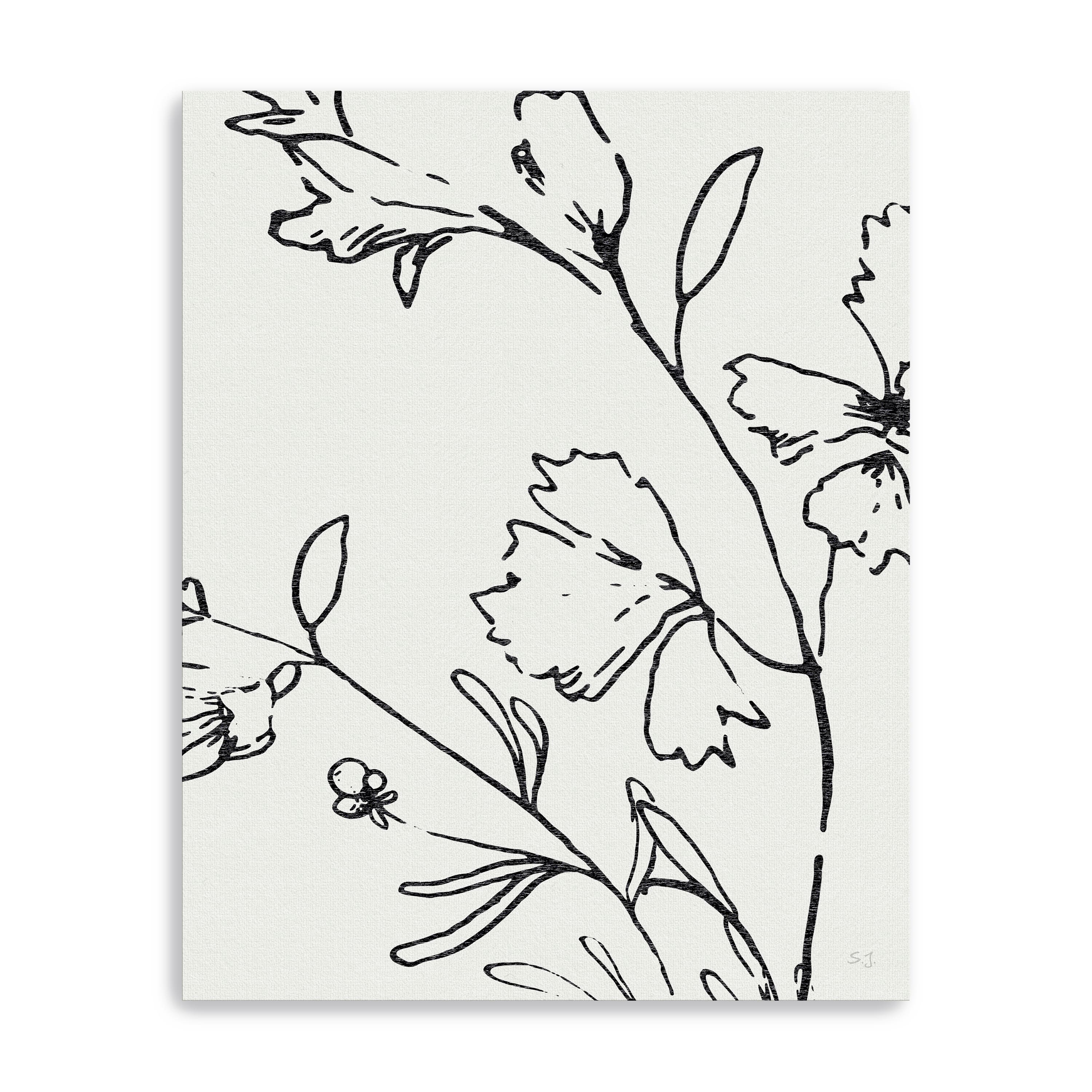 Botanical Sketch II Canvas Giclee