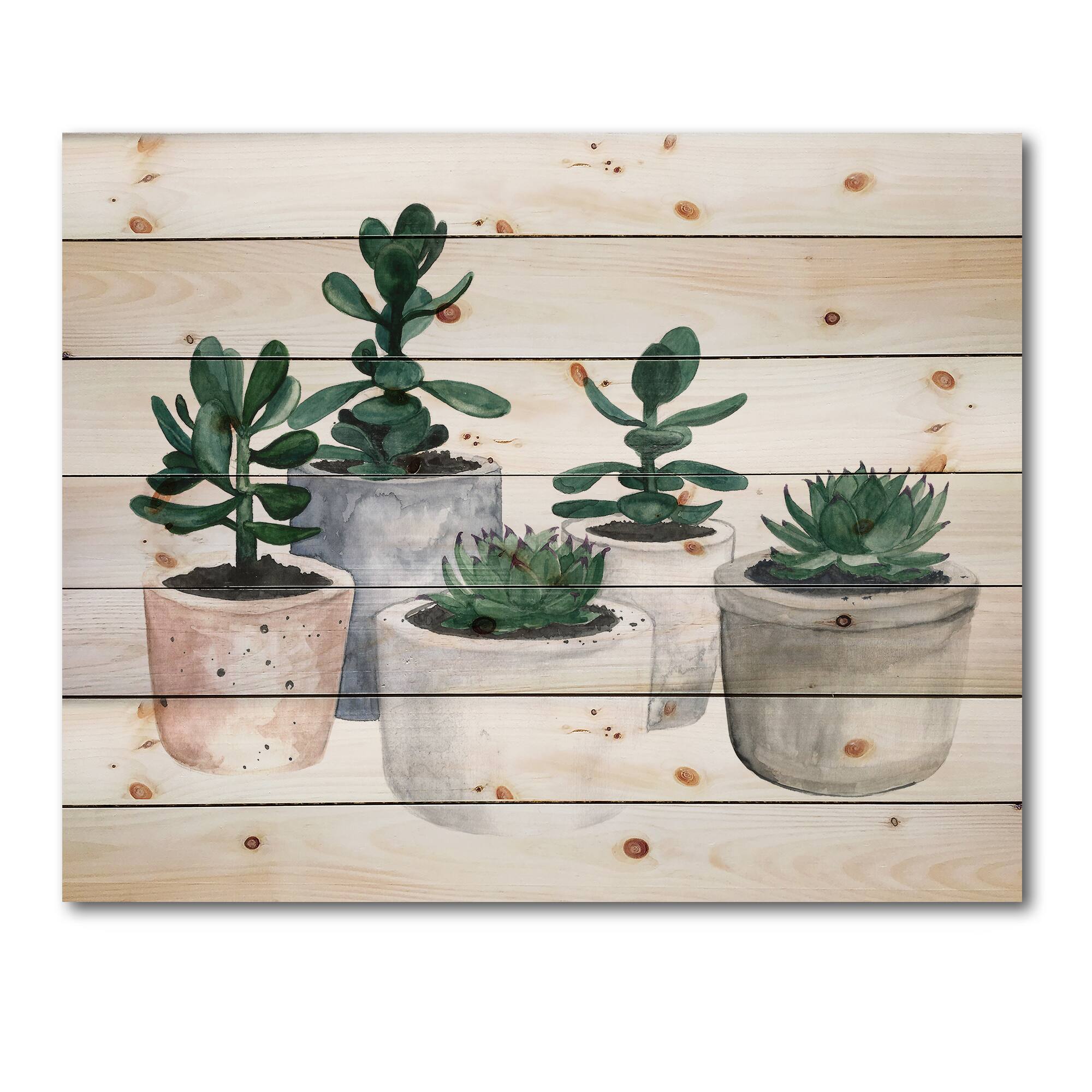 Designart - Cactus and Succulent House Plants VI - Botanical Print on Natural Pine Wood