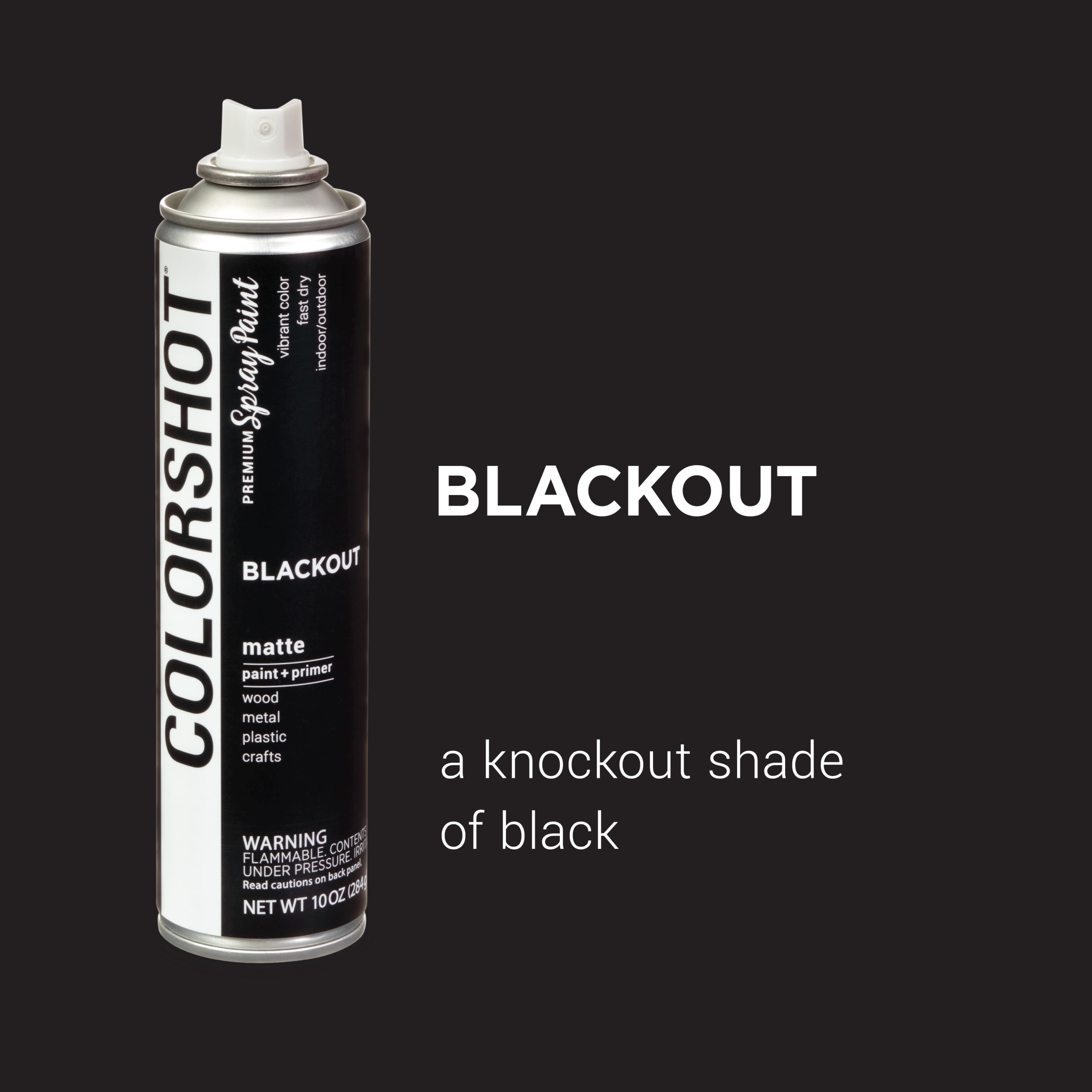 COLORSHOT&#xAE; Blackout Matte Spray Paint