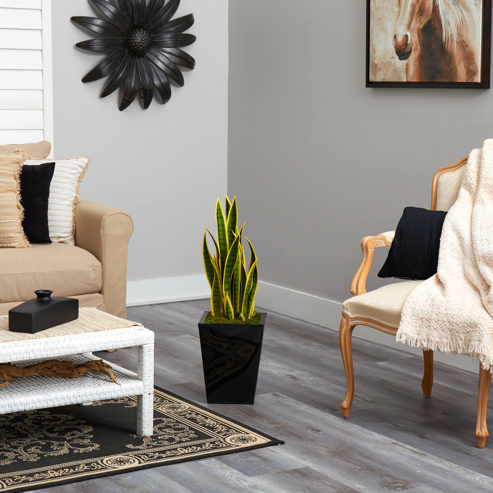 2.5ft. Snake Plant in Metal Planter