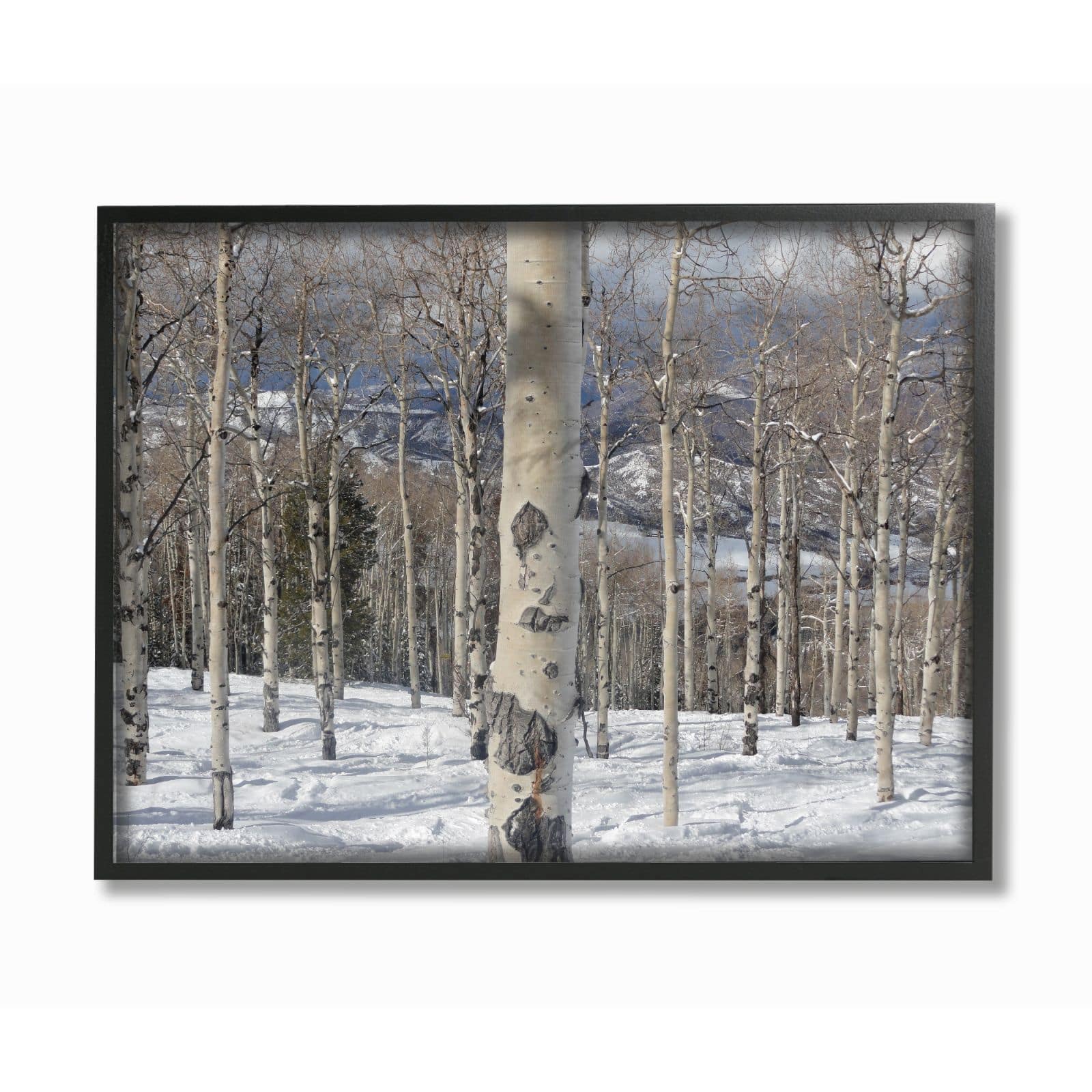 Stupell Industries Winter Birches Wall Art in Black Frame