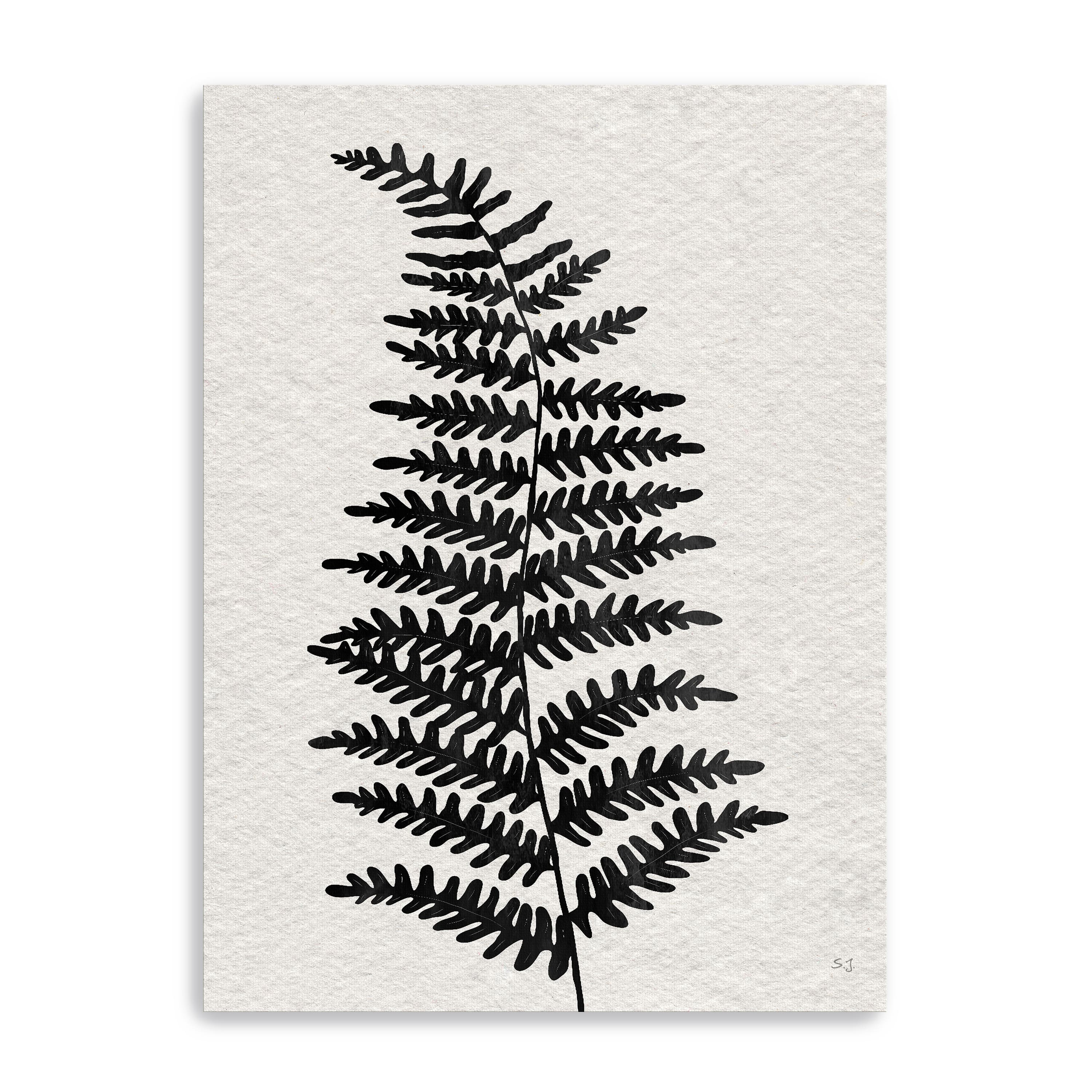 Forest Fern II Canvas Giclee
