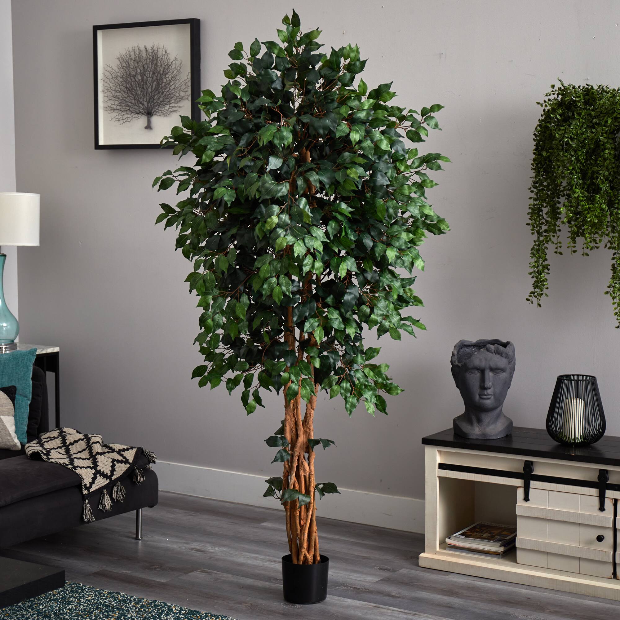 6ft. Potted Palace Style Ficus Tree