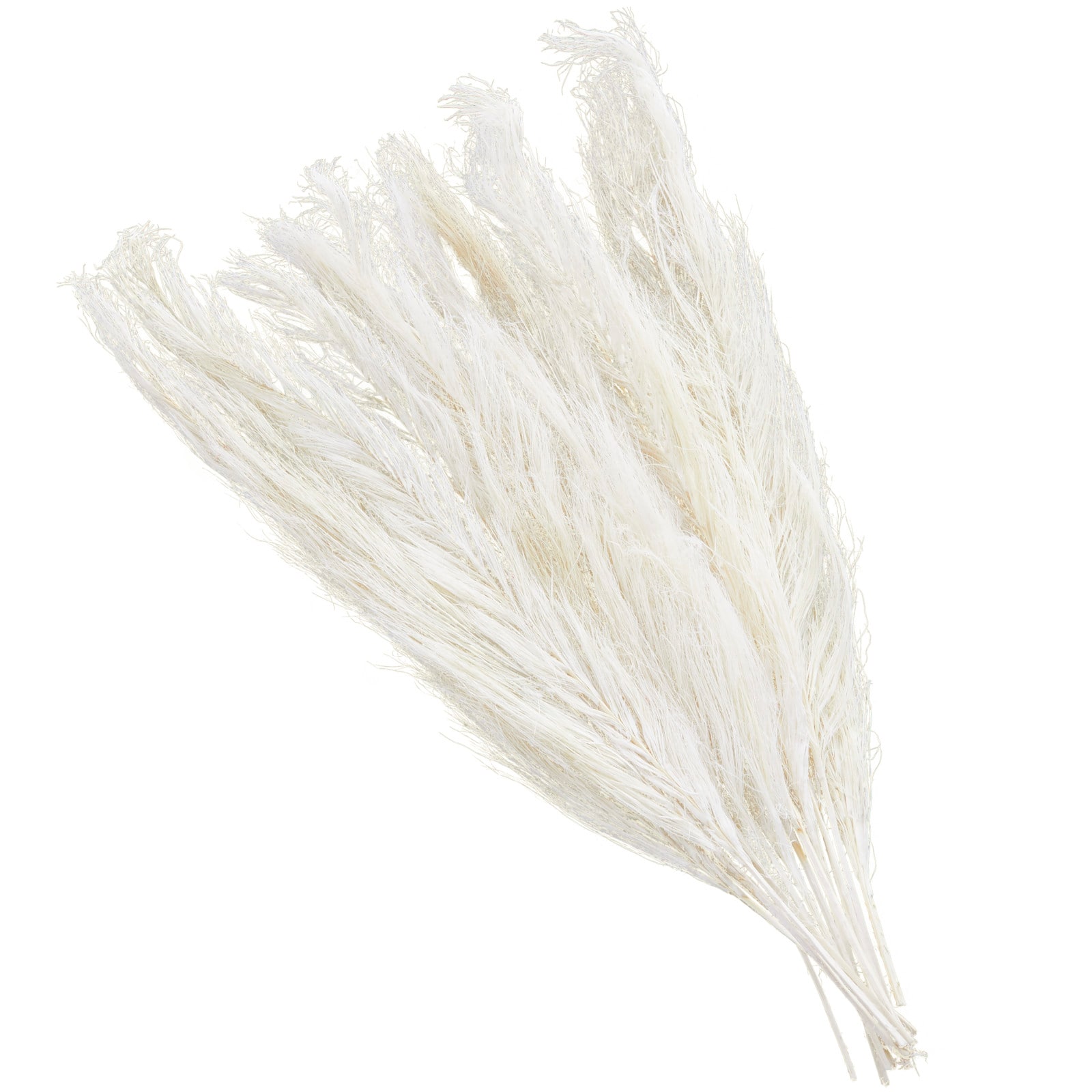 35&#x22; Natural Dried Palm Leaf Bundle with Feather-Inspired Stems