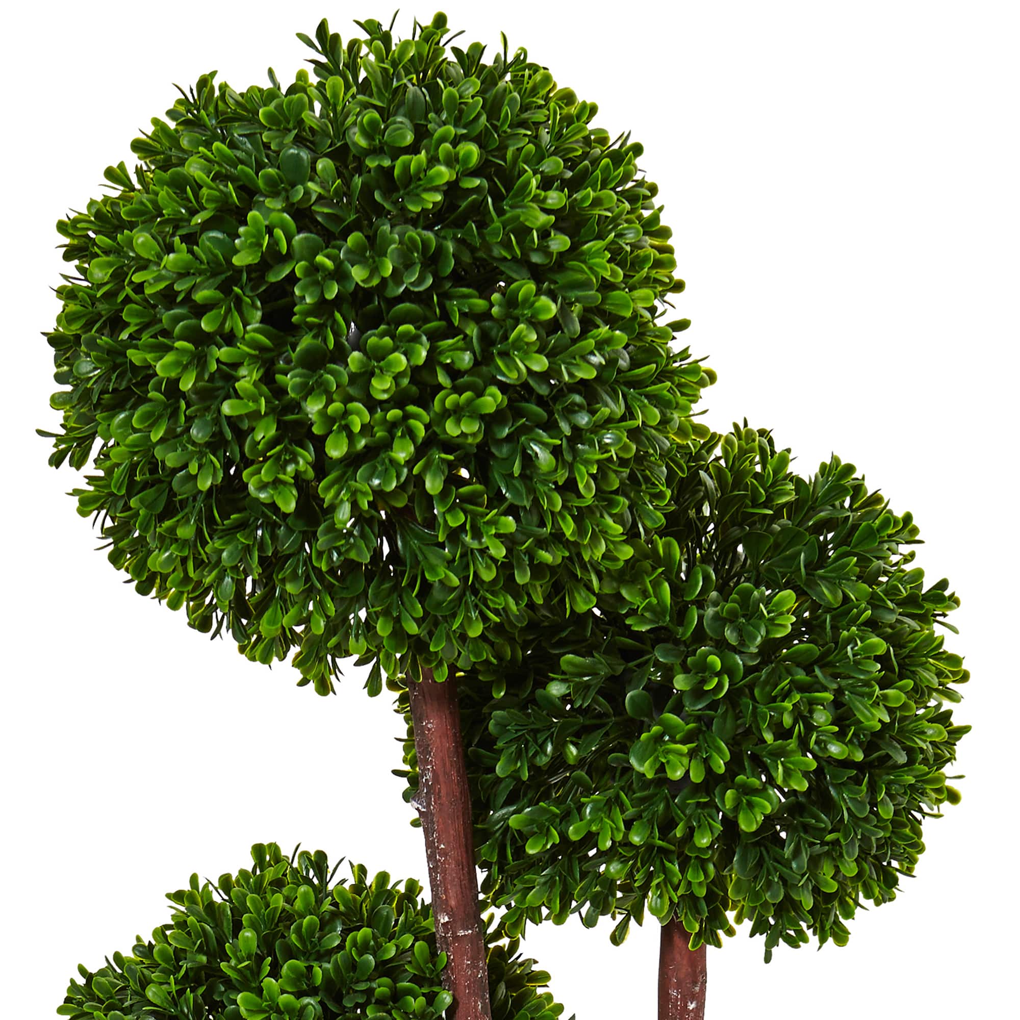 3ft. Potted Boxwood Topiary Tree