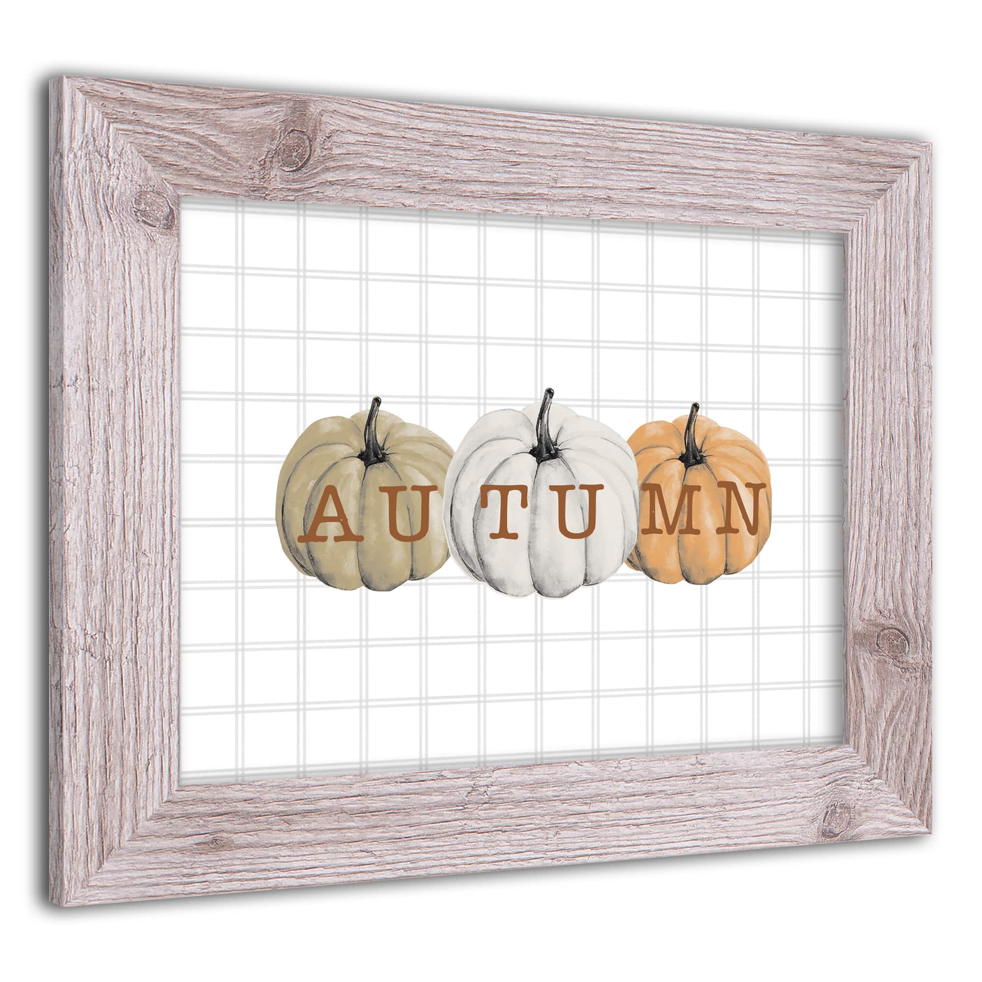 Autumn Pumpkins Western White Framed Print