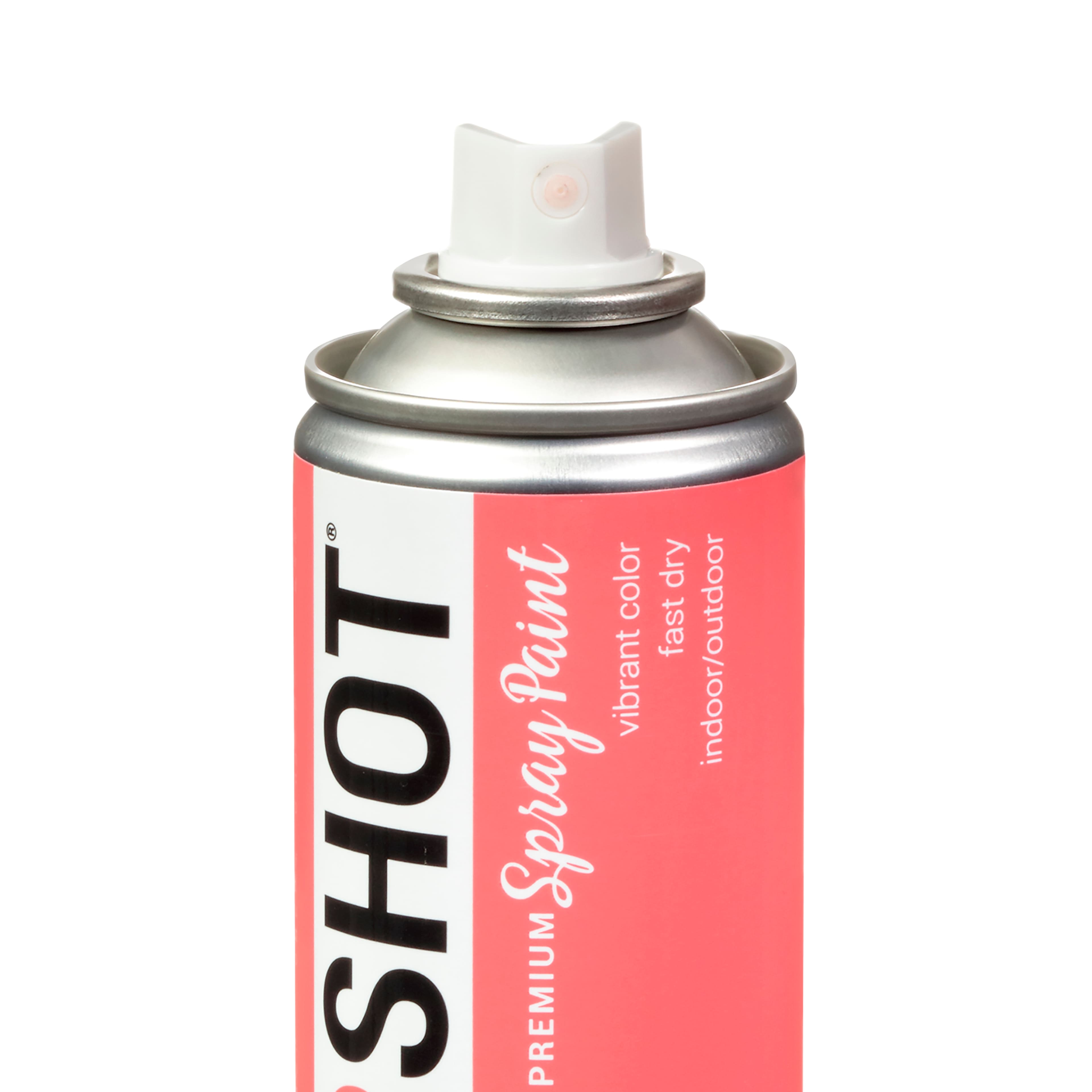 COLORSHOT&#xAE; Premium Gloss Spray Paint