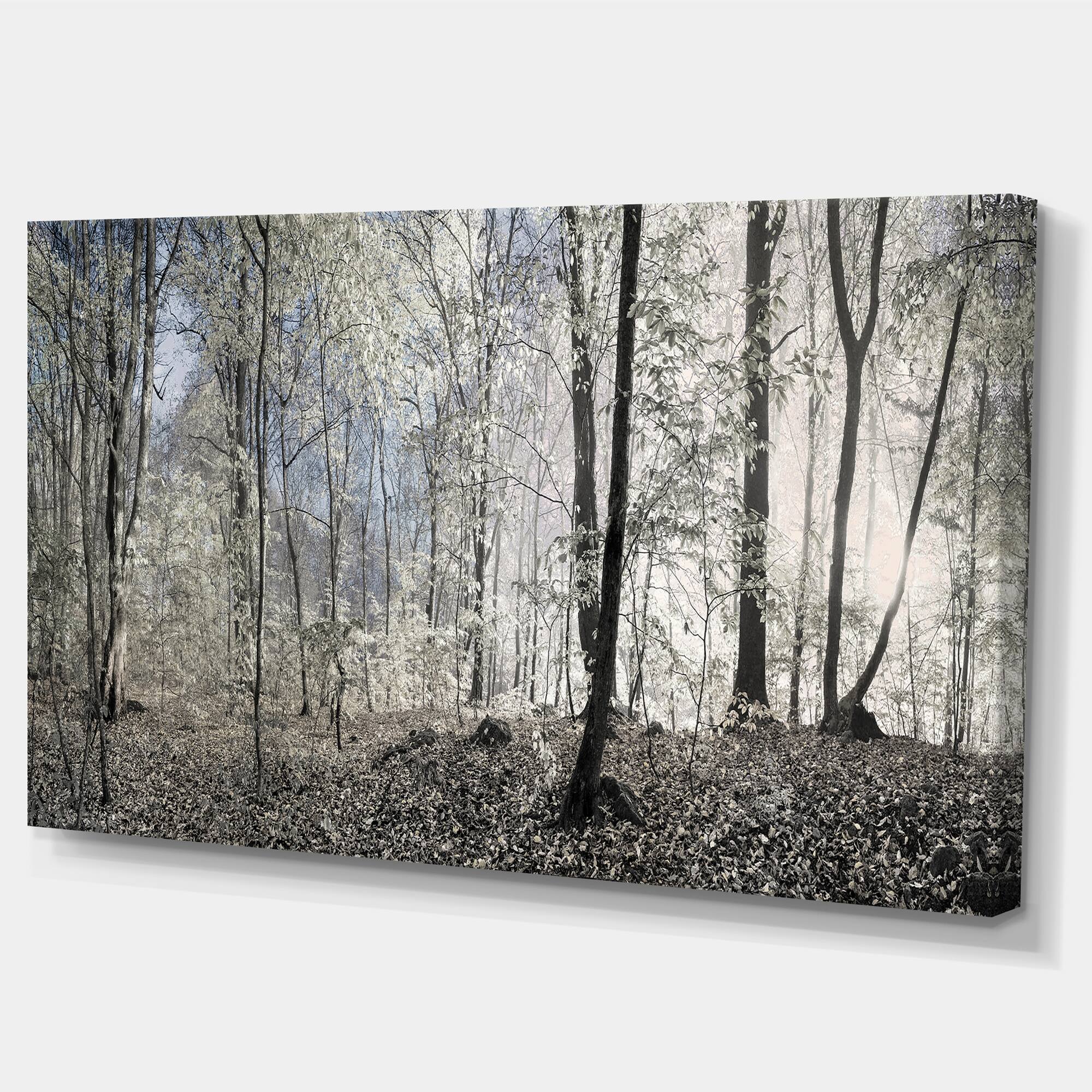 Designart - Dark Morning in Forest Panorama - Landscape Canvas Art Print