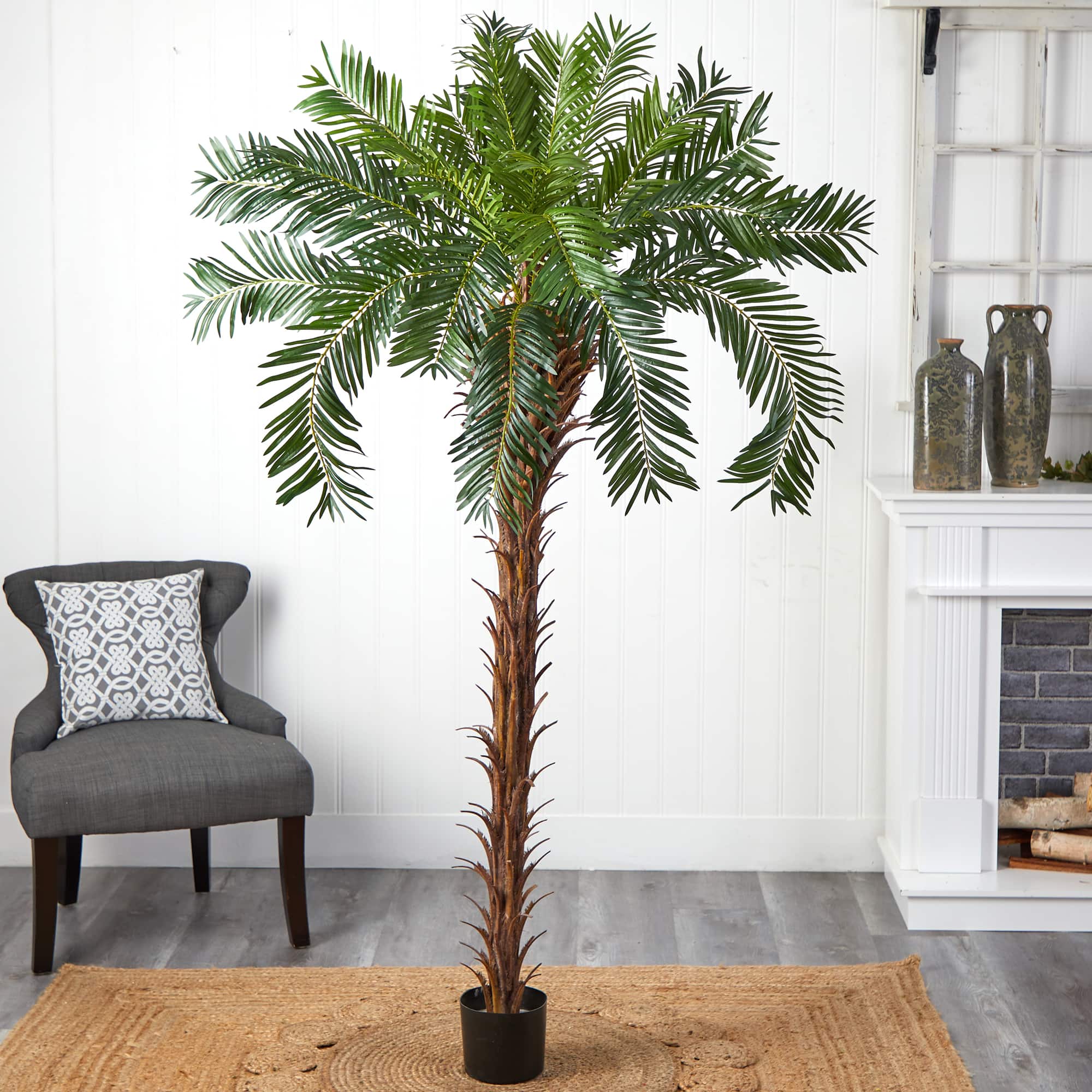7ft. Potted Cycas Palm Tree