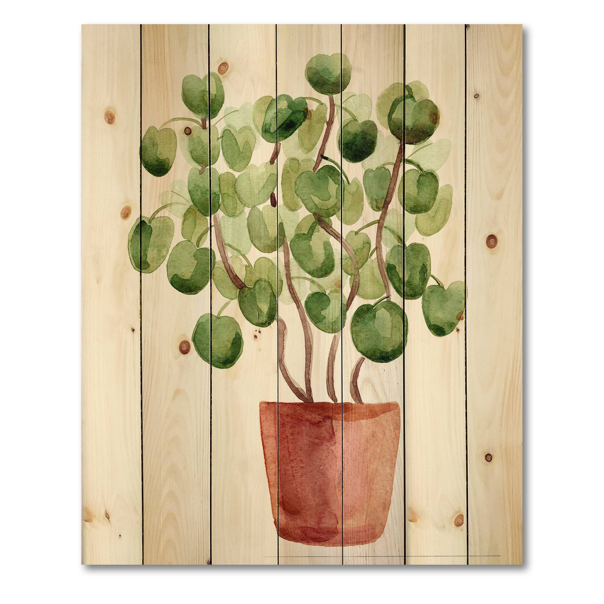 Designart - Chinese Money Plant In Pot - Traditional Print on Natural Pine Wood