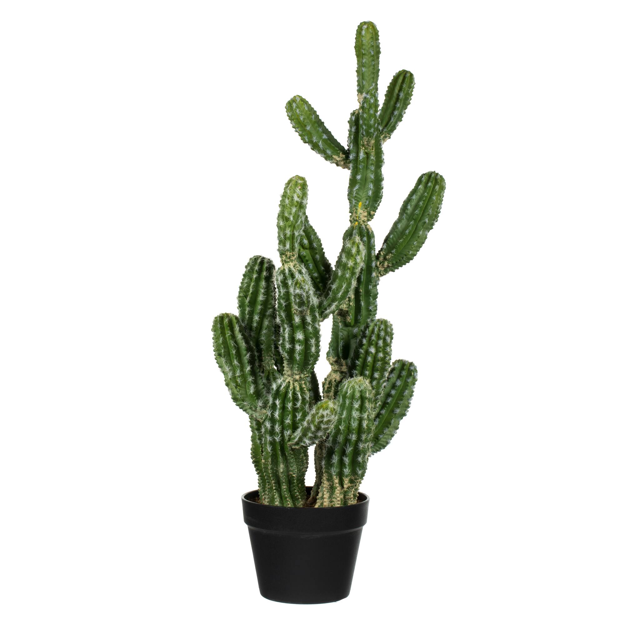 31&#x22; Artificial Green Potted Cactus