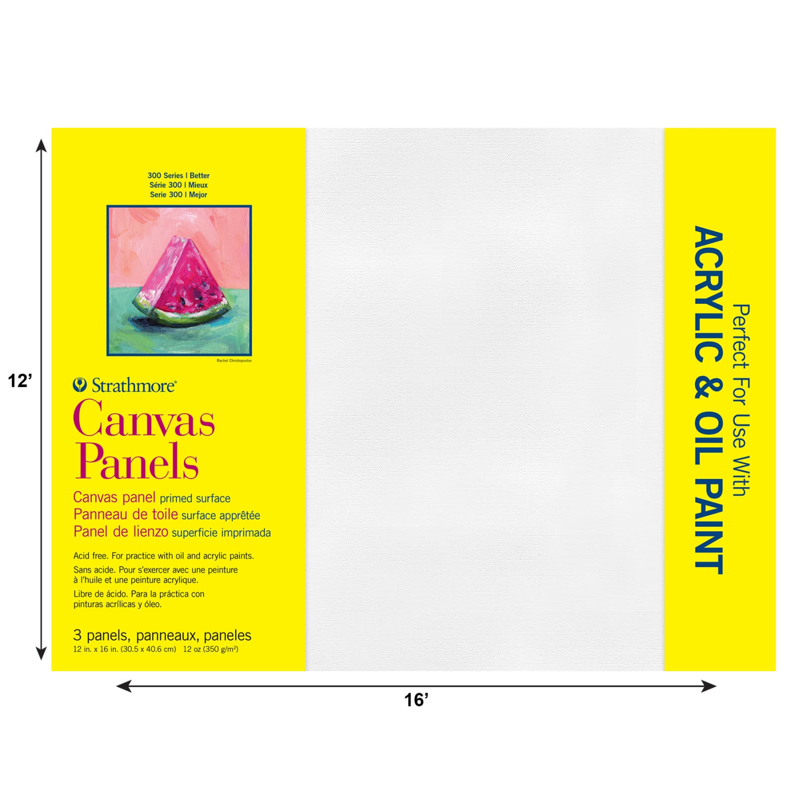 Strathmore® 300 Series 12" x 16" White Canvas Panels, 3ct.