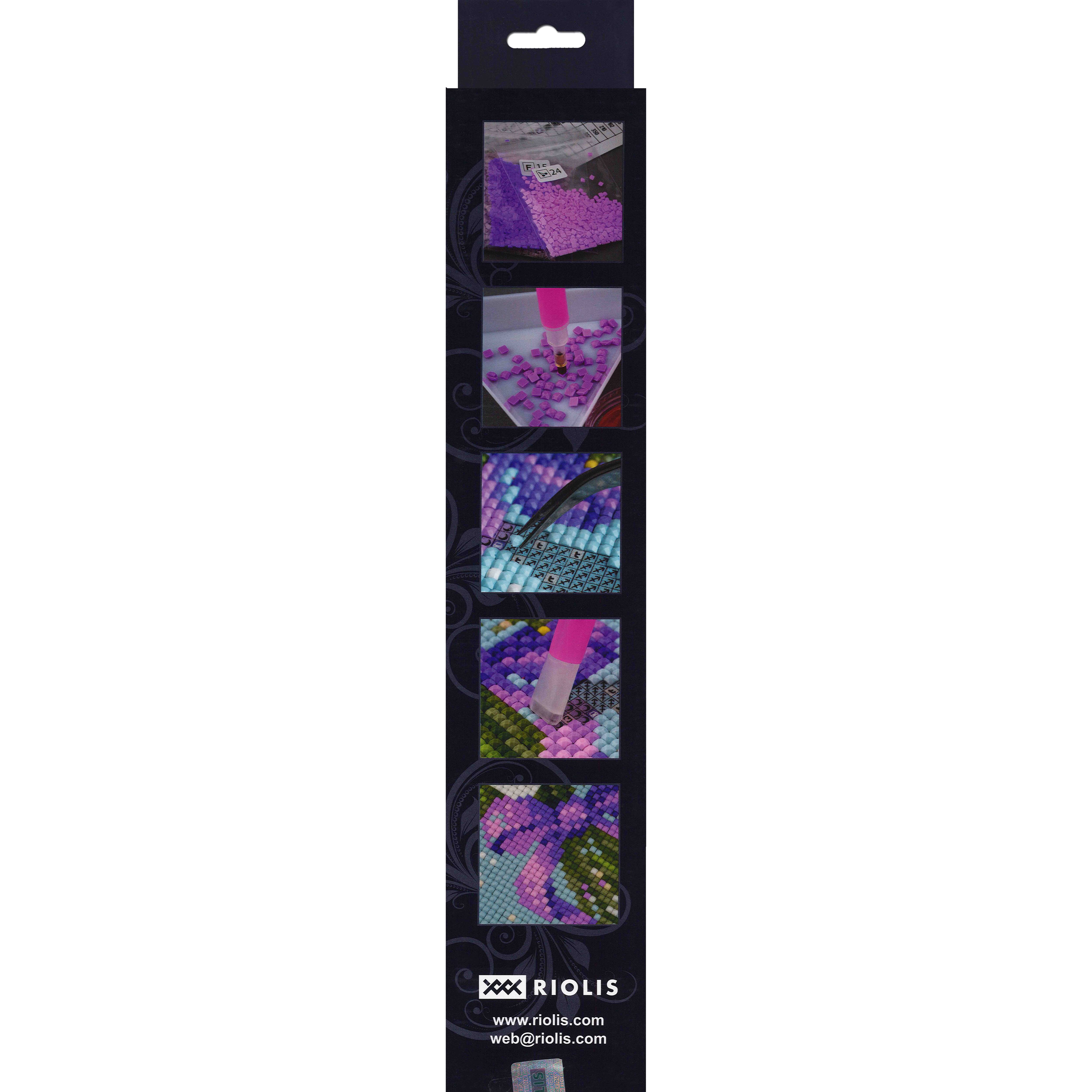 RIOLIS Starry Night Over Rhone Diamond Mosaic Kit