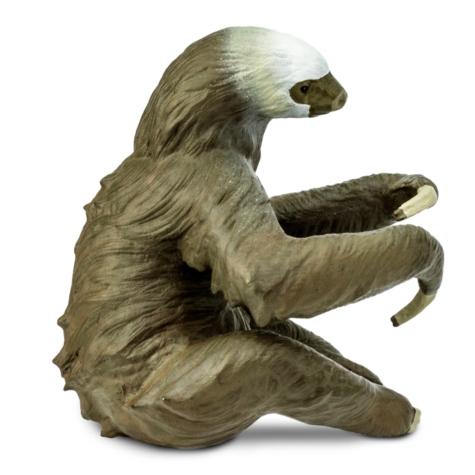Safari Ltd® Two-Toed Sloth Toy