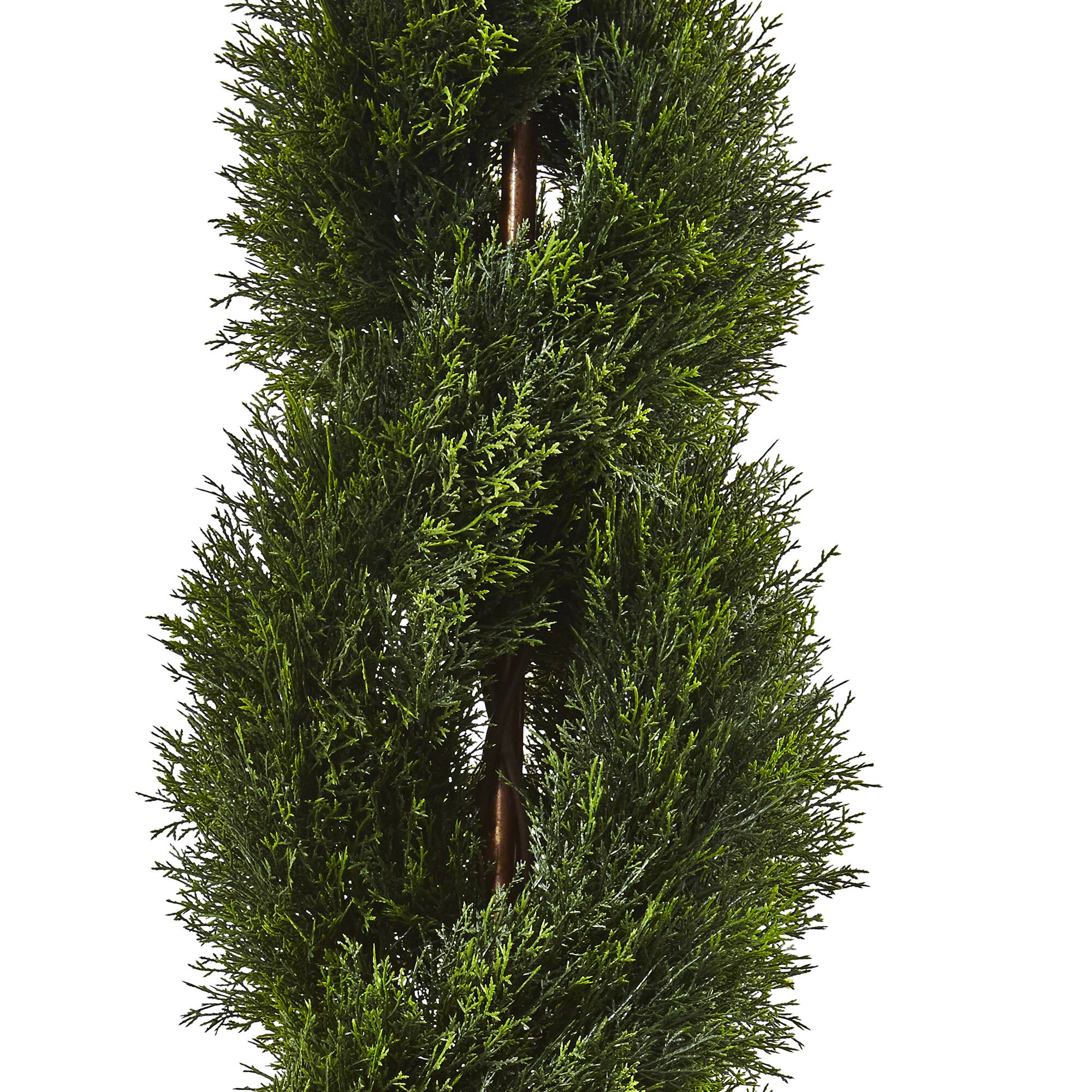 4ft. Potted Double Pond Cypress Spiral Topiary Tree