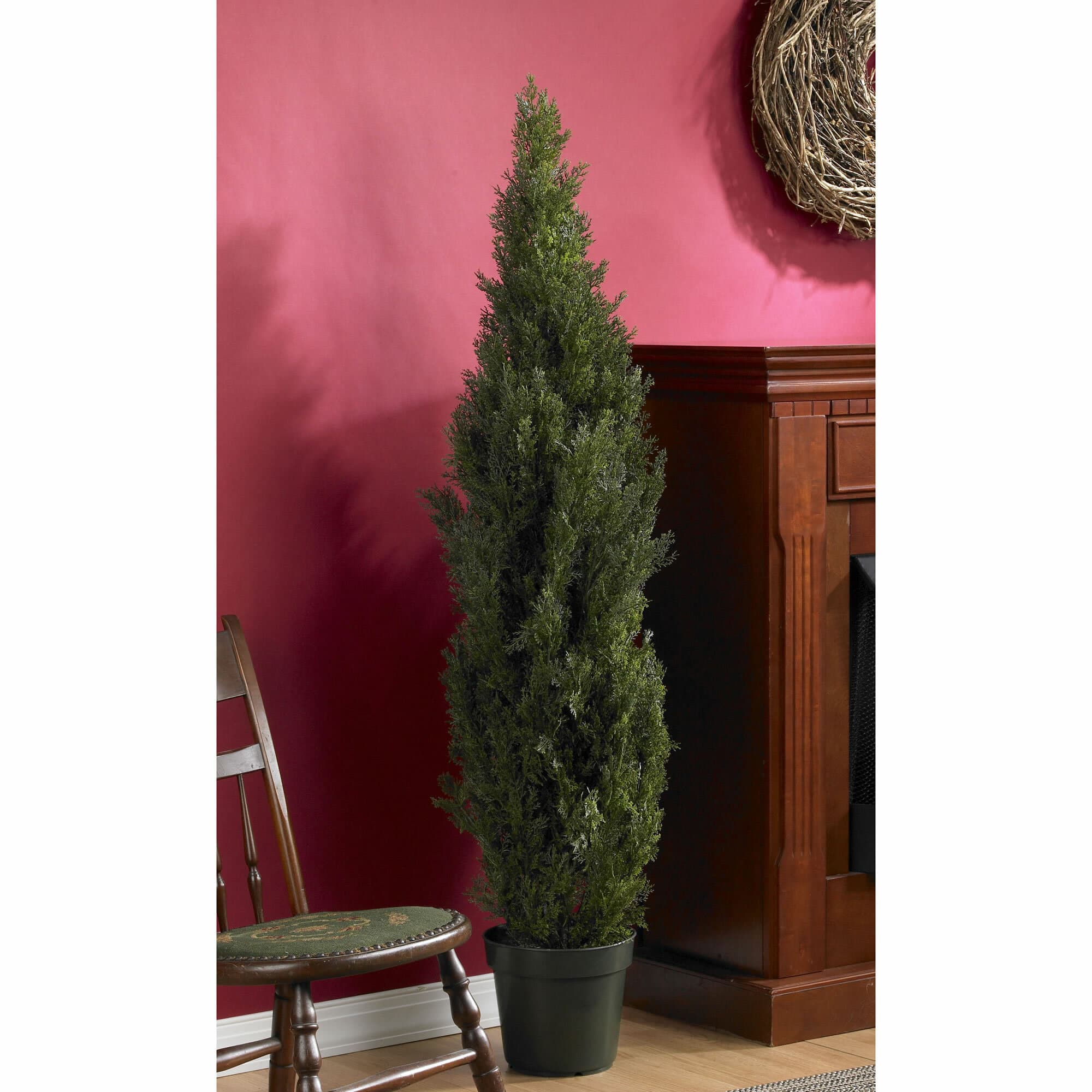 5ft. Cedar Pine Tree