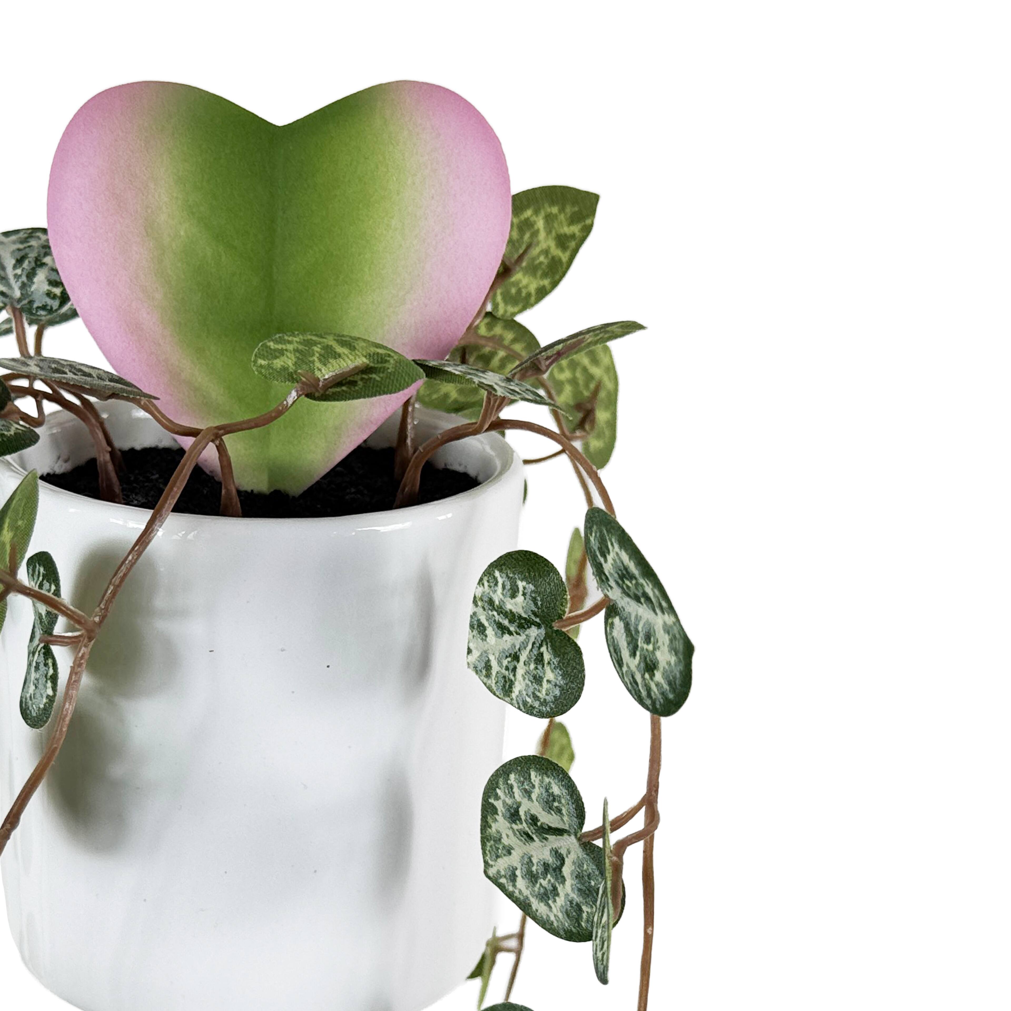 Plante hoya &#xE0; feuilles en forme de c&#x153;ur dans un pot blanc de 22,9 cm d&#x2019;Ashland
