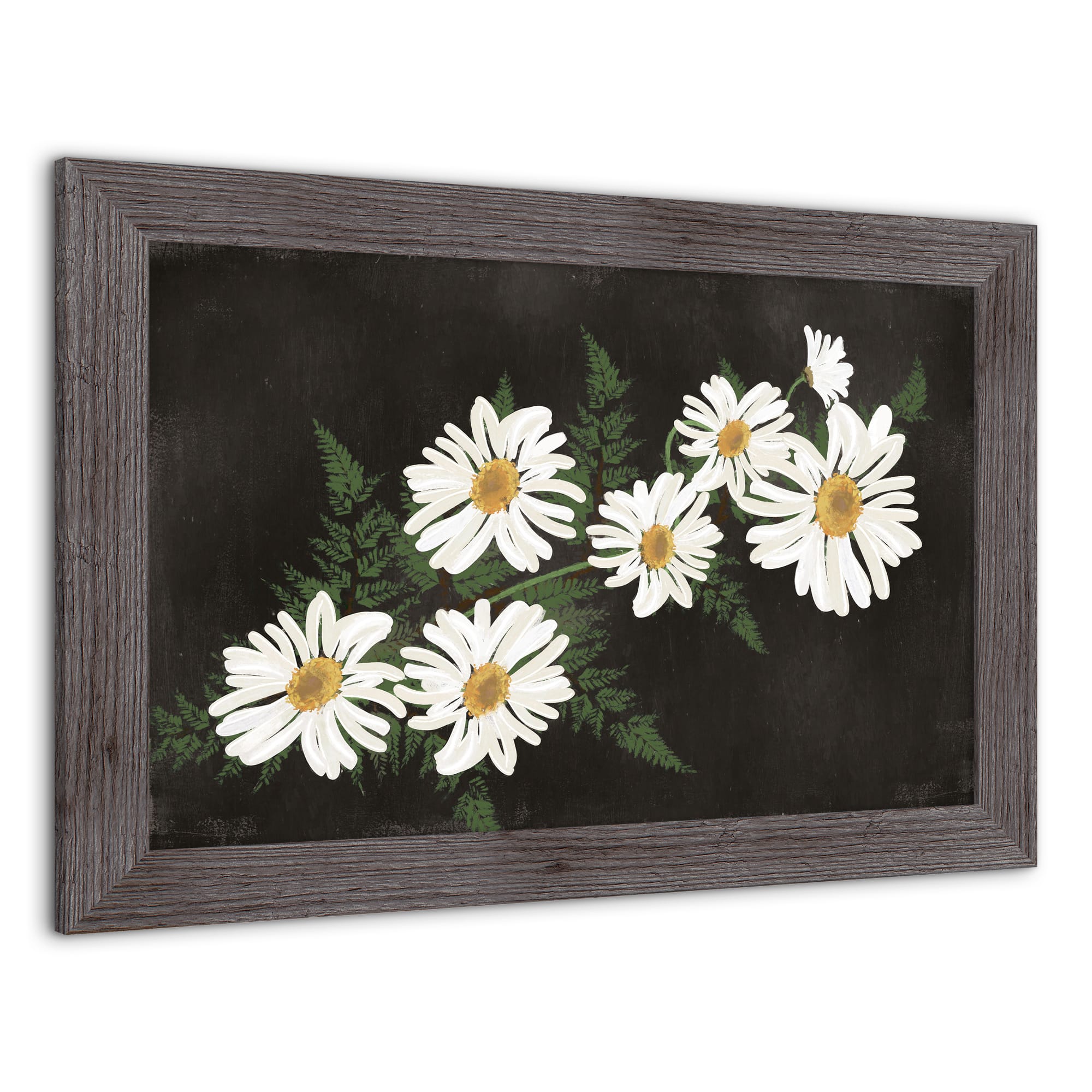 Daisies on Moody Background Framed Print Wall Hanging