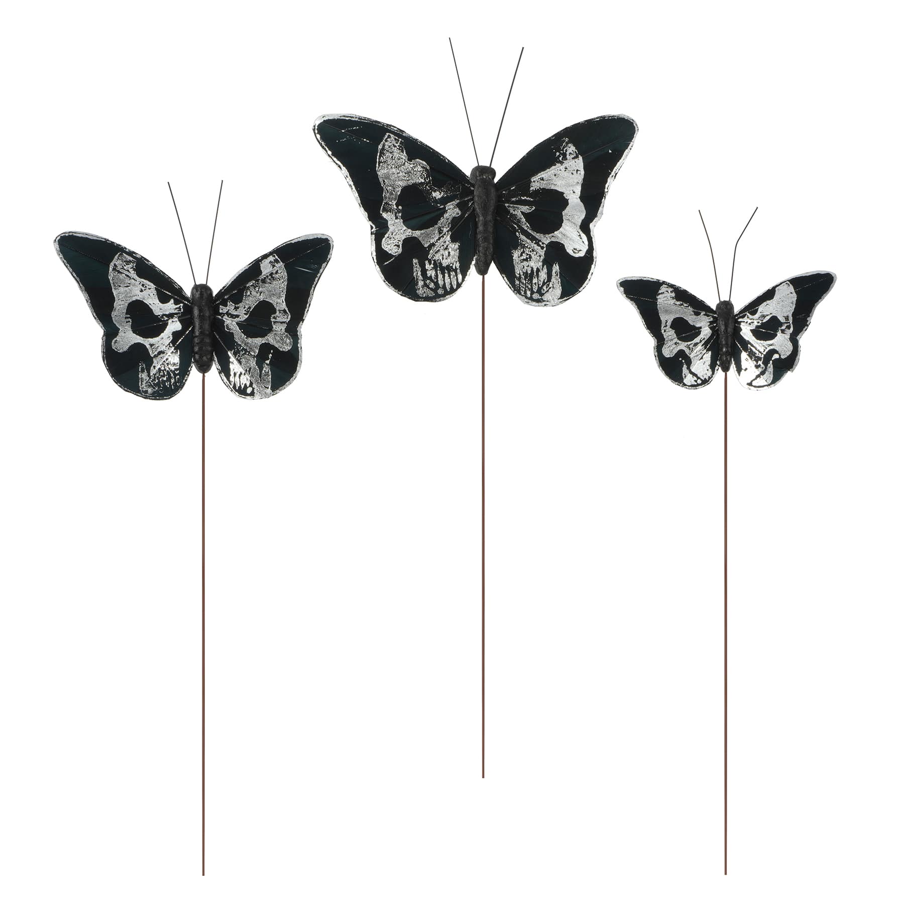 Silver Skull Butterfly Set by Ashland&#xAE;