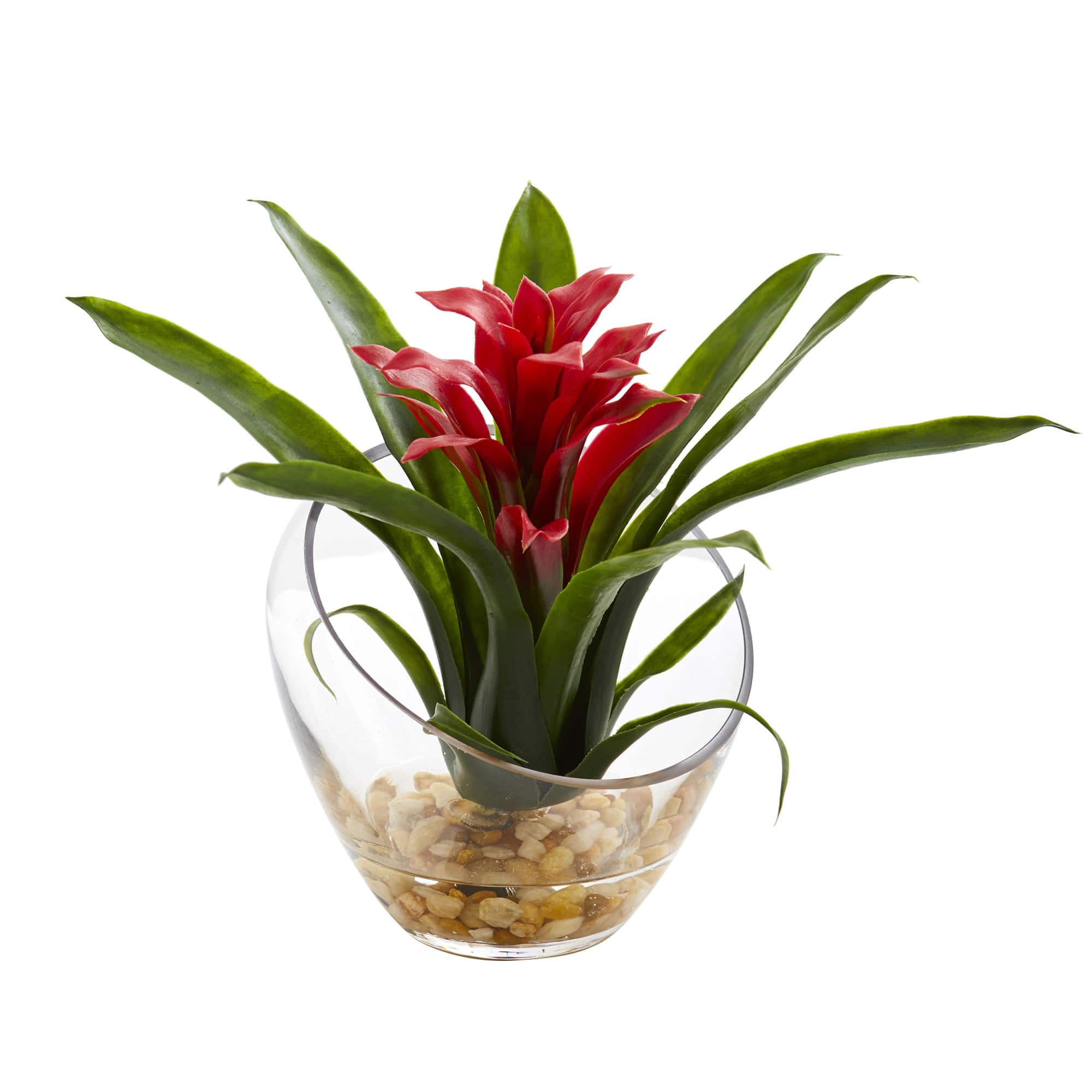 8&#x22; Red Tropical Bromeliad Arrangement in Angled Vase