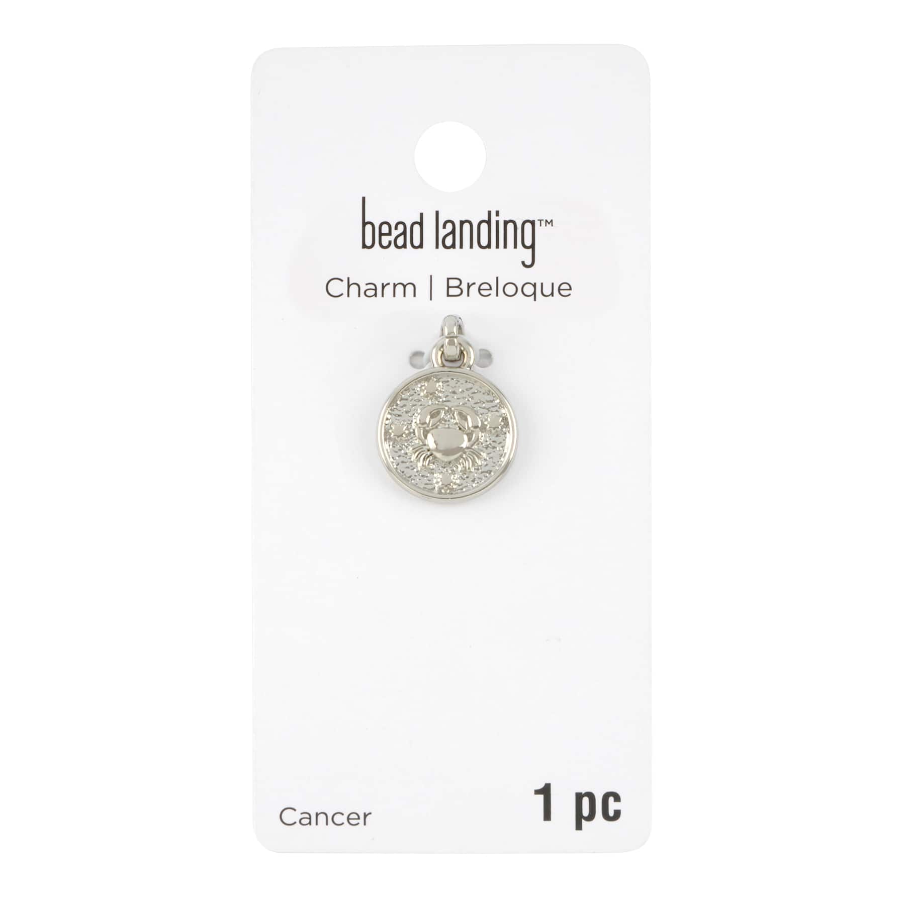 Metal Zodiac Coin Charm by Bead Landing&#x2122;