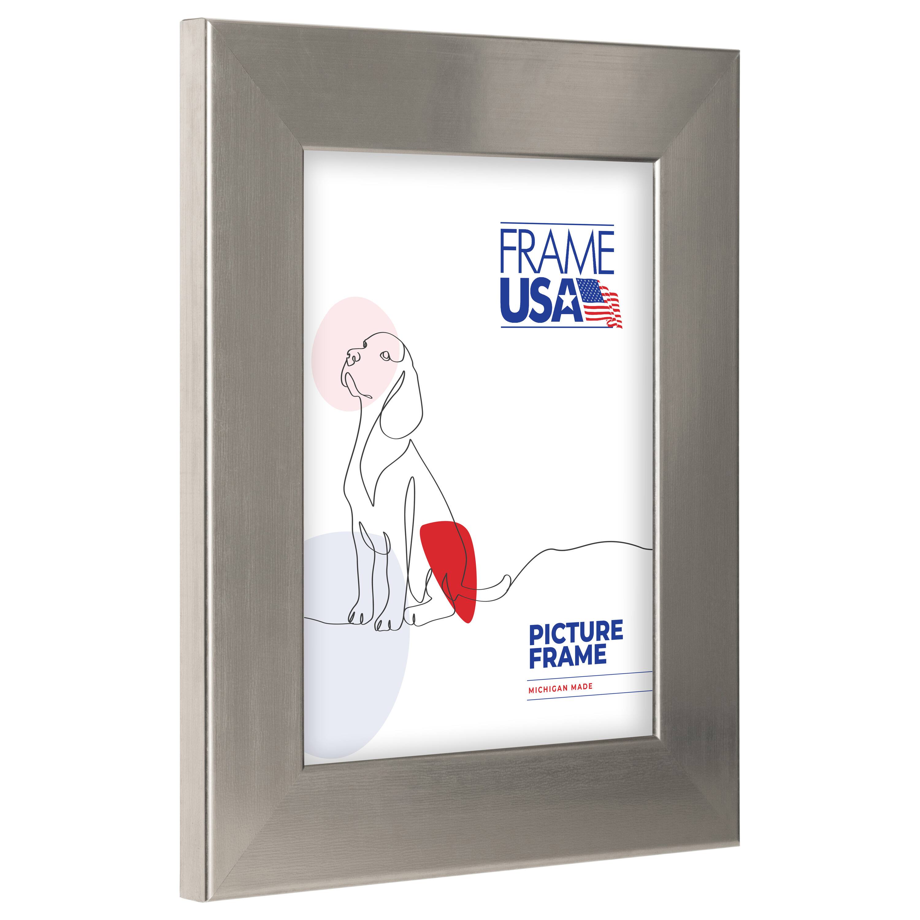 Frame USA Stainless Silver Single Image Picture Frame
