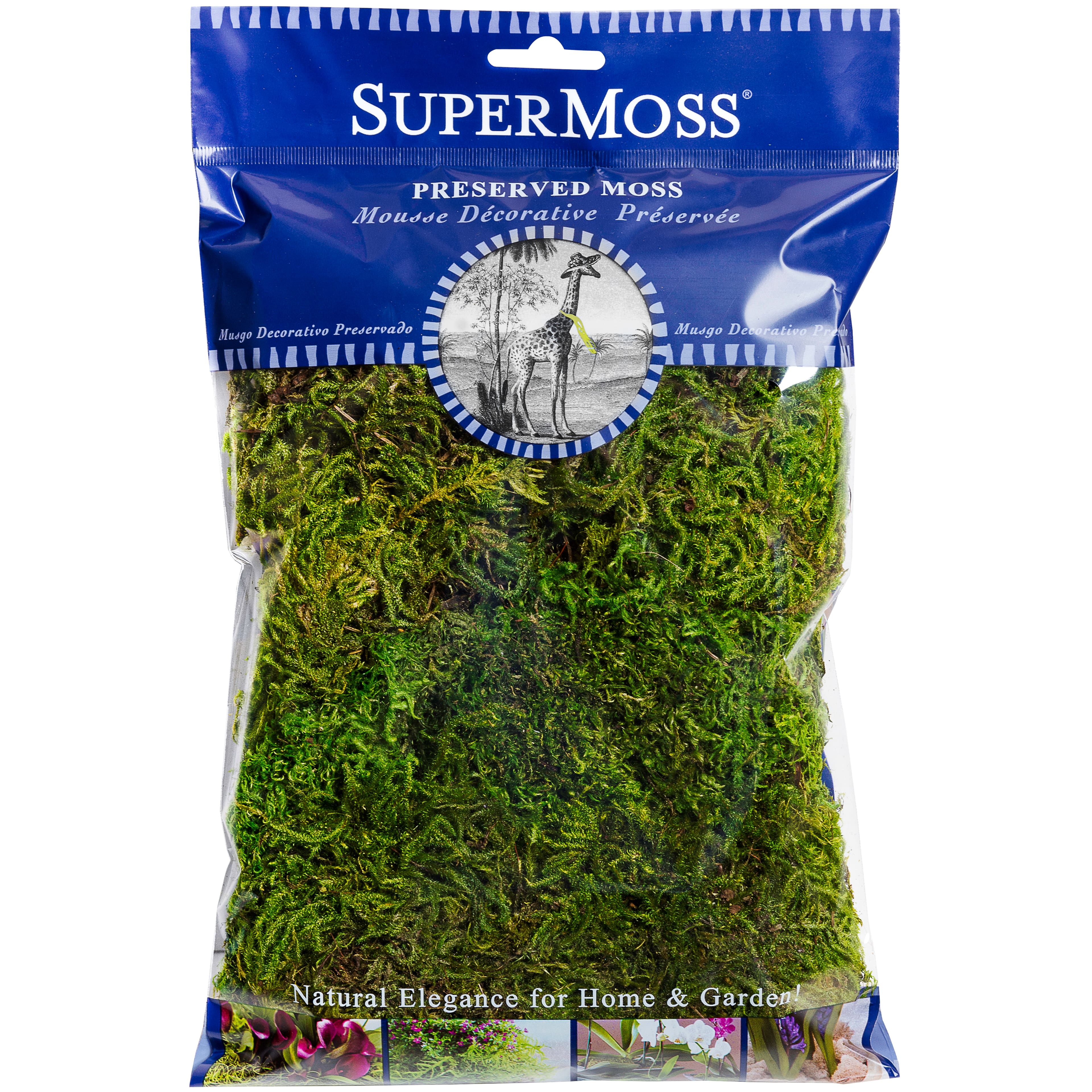 24 Pack: SuperMoss&#xAE; Preserved Green Forest Moss