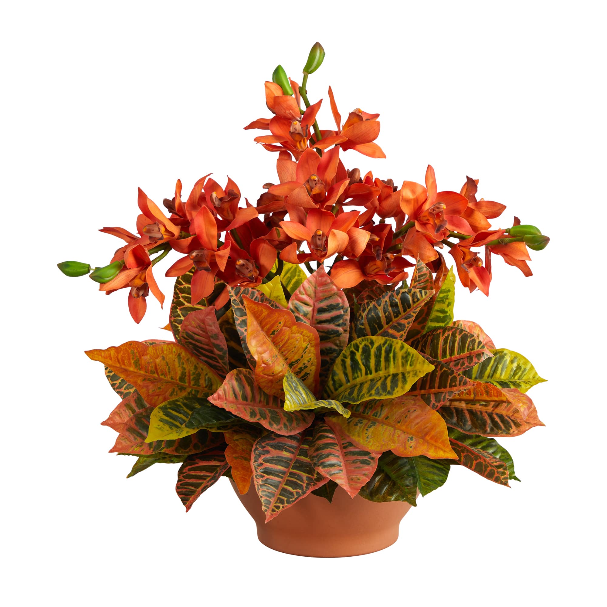 18&#x22; Boat Orchid &#x26; Croton Floral Arrangement in Terra Cotta Vase