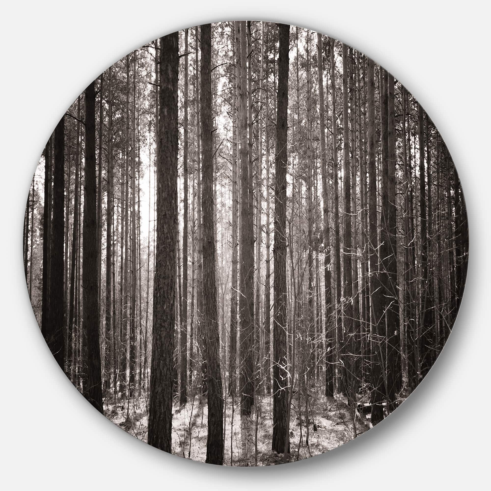 Designart - Beautiful Misty Forest in the Autumn' Disc Forest Metal Circle Wall Art