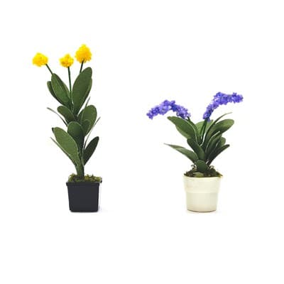 Mini Potted Orchid Plants by Make Market®
