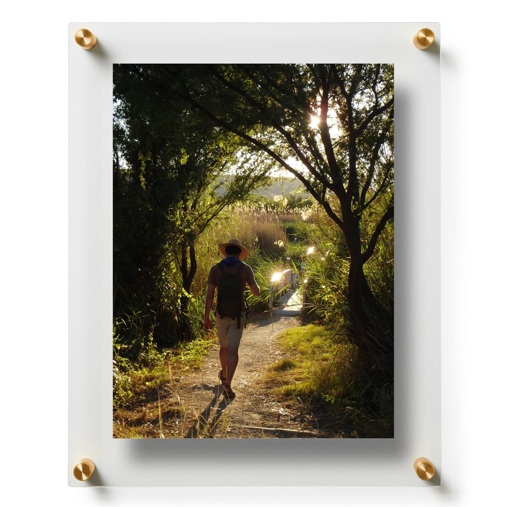 Wexel Art Double Panel Clear Acrylic Floating Wall Frame with Gold