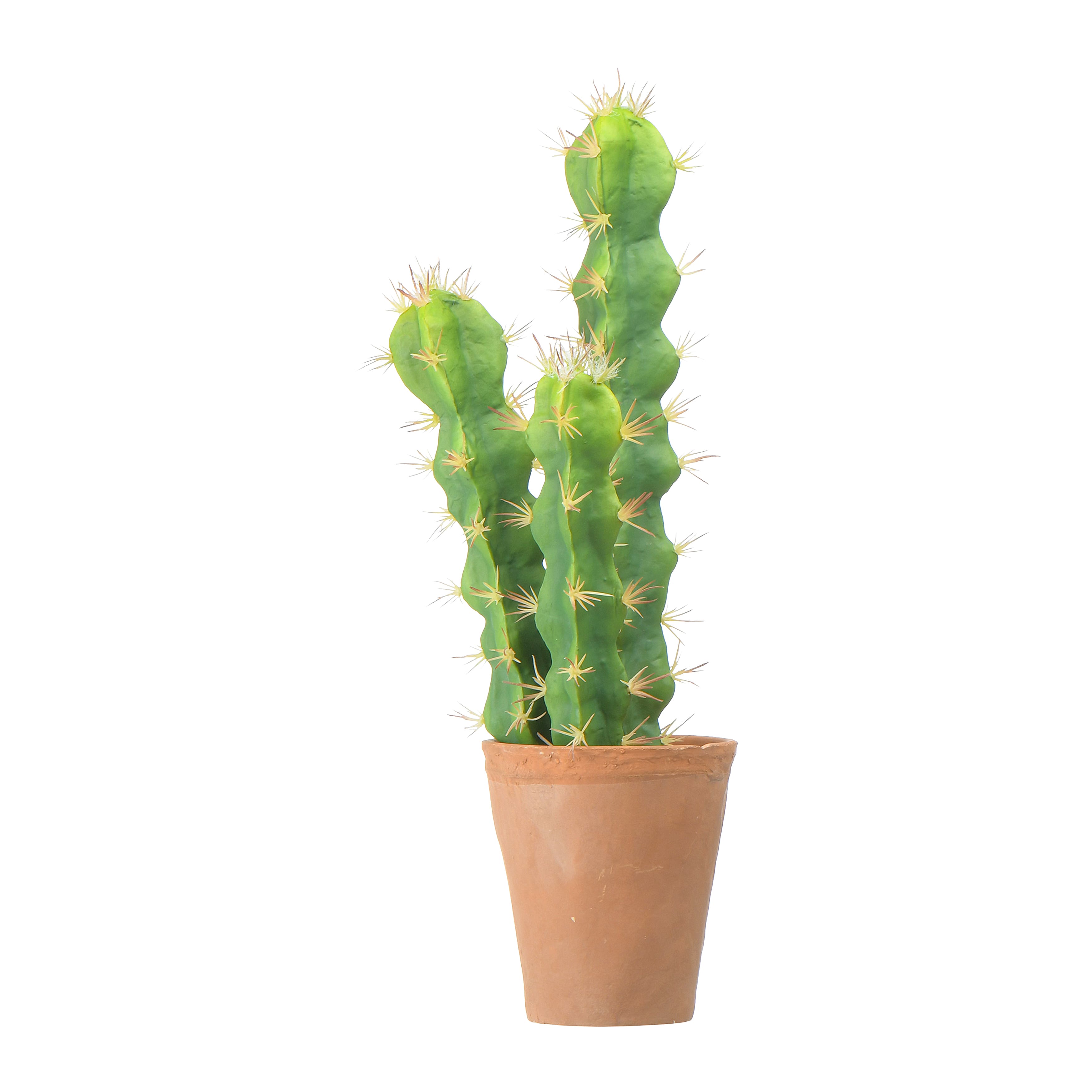 18&#x22; Cereus Cactus in Terra Cotta Colored Pot