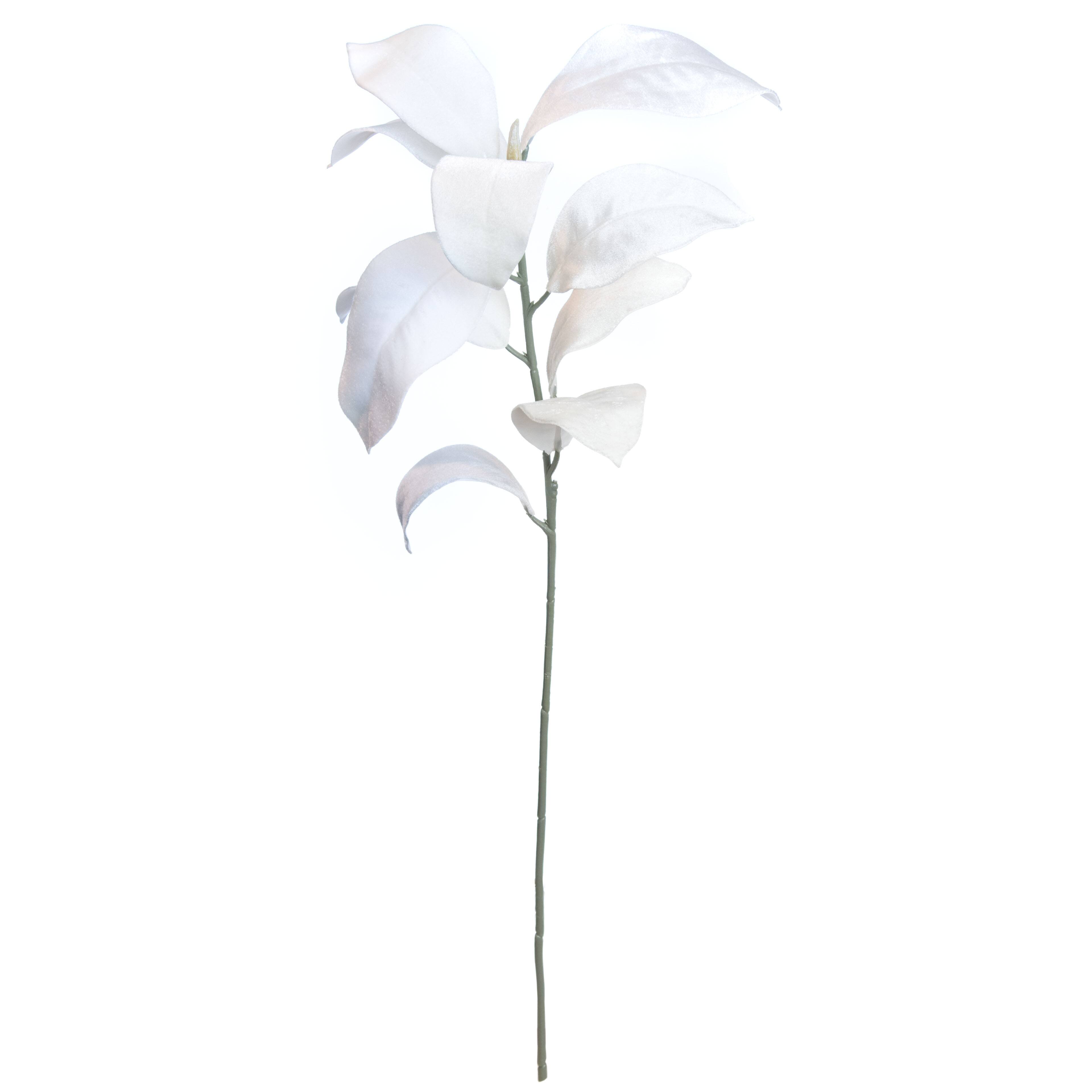 31.5" White Magnolia Velvet Leaf Stem by Ashland® Michaels