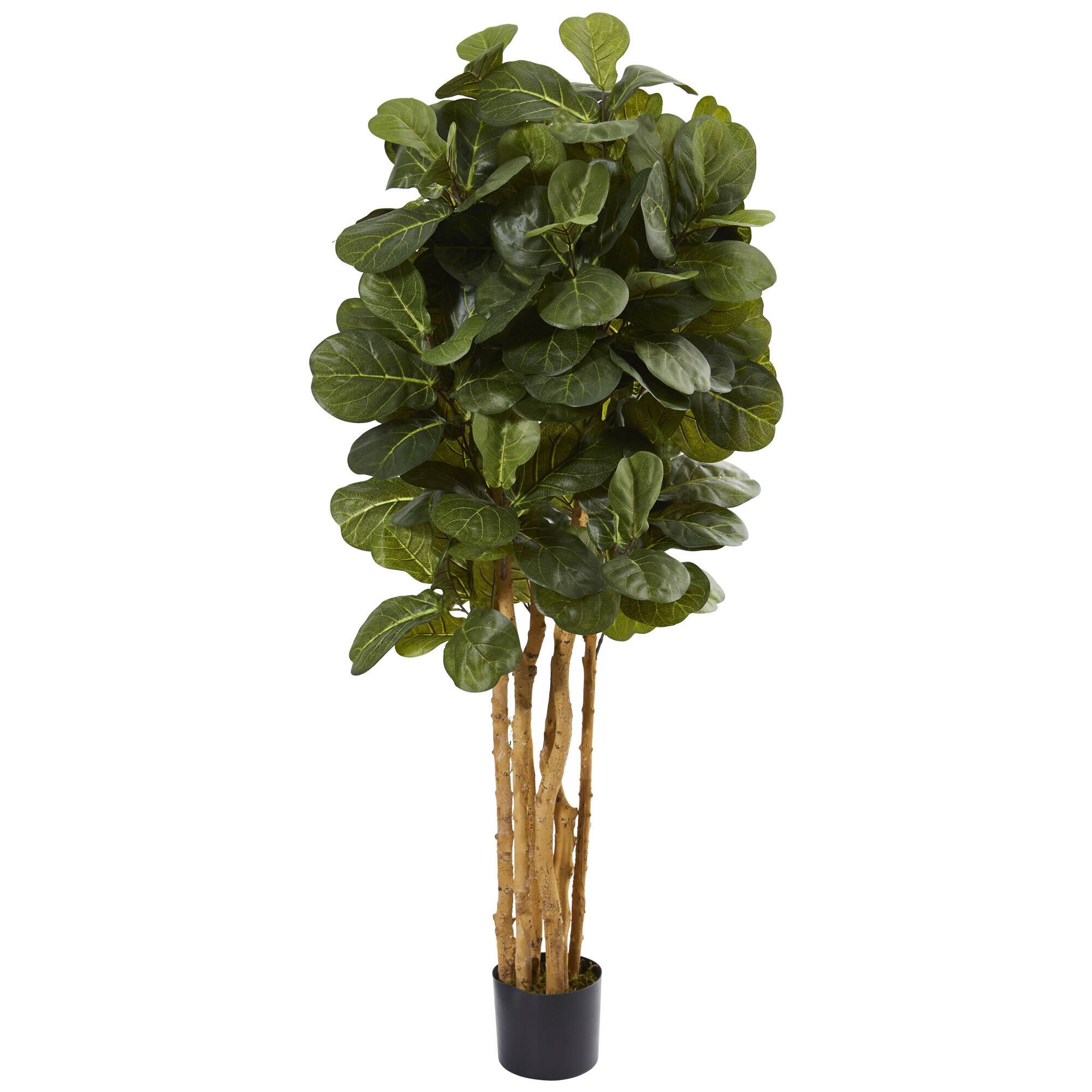 5Ft Potted Fiddle Leaf Fig Tree By Nearly Natural in Green | Michaels®